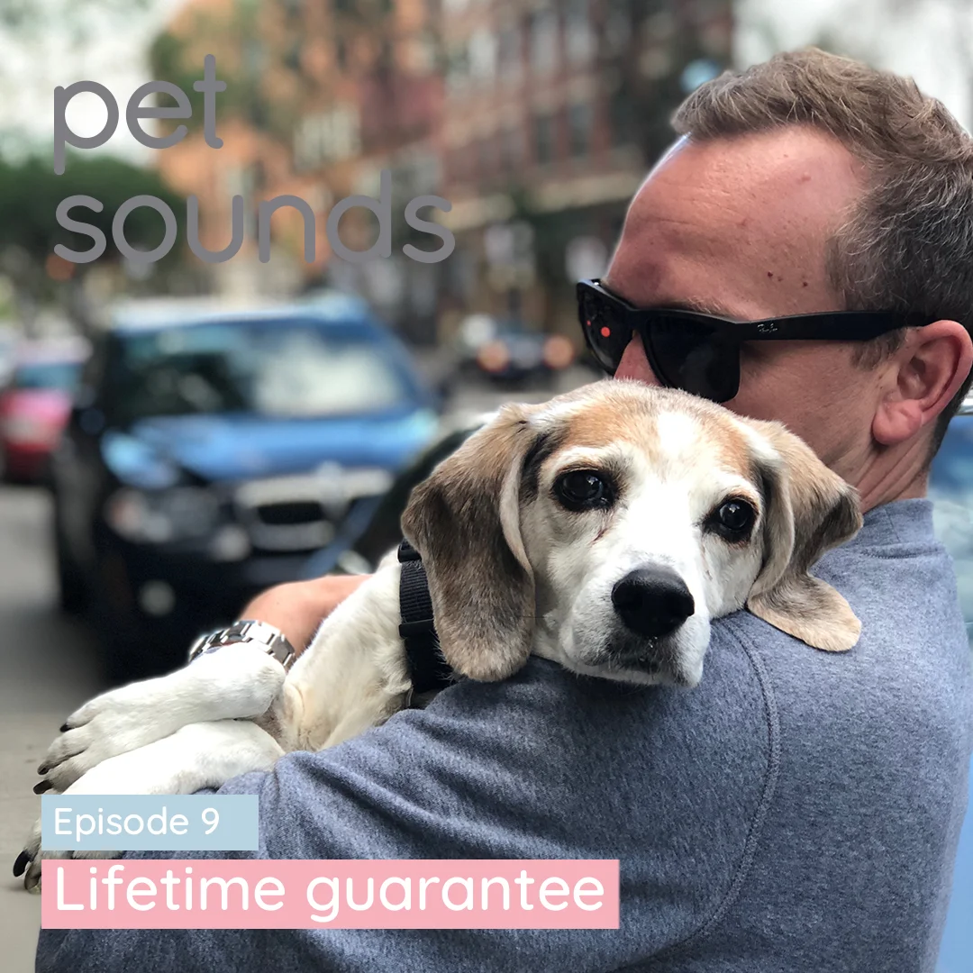Ep 9 - Lifetime guarantee.jpg
