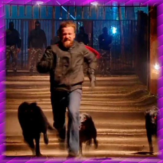Release The Hounds w/ Shannon Strucci episode artwork
