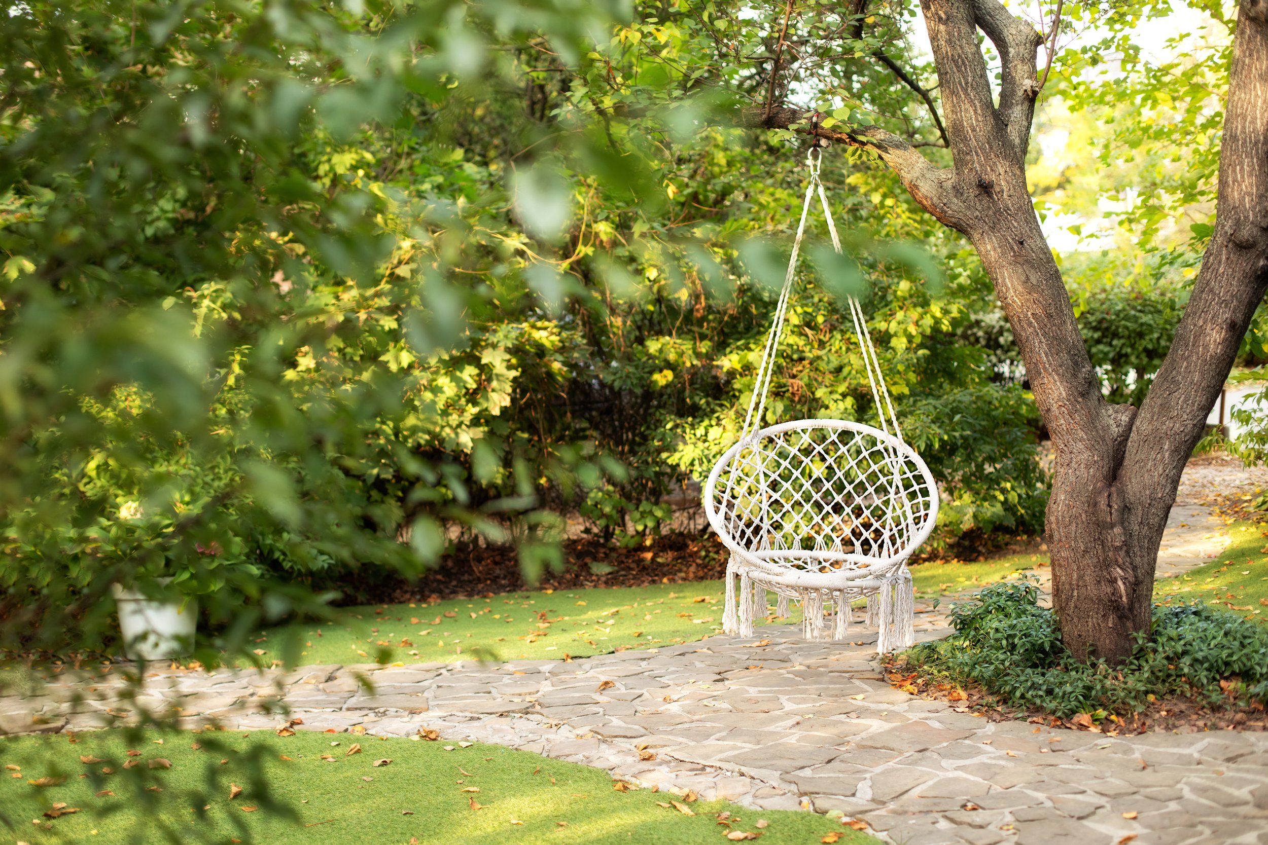 Swinging the Summer Away: The Best Outdoor Tree Swings for Adults