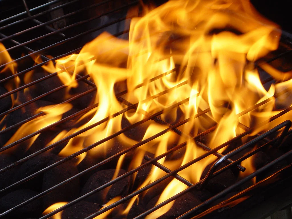 Brush the snow off your grill