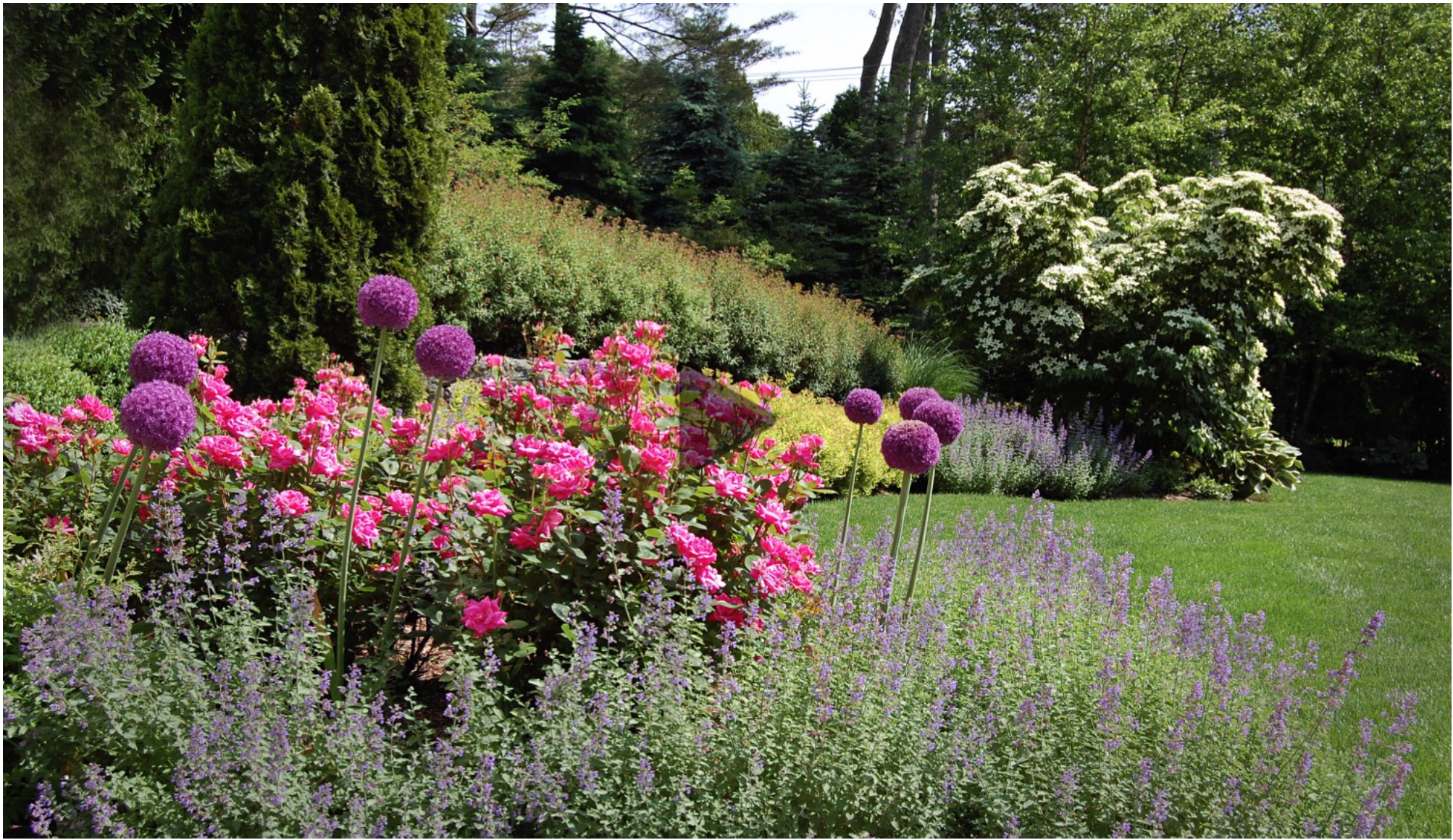 Planting design and photo by Mary-Liz Campbell Landscape Design