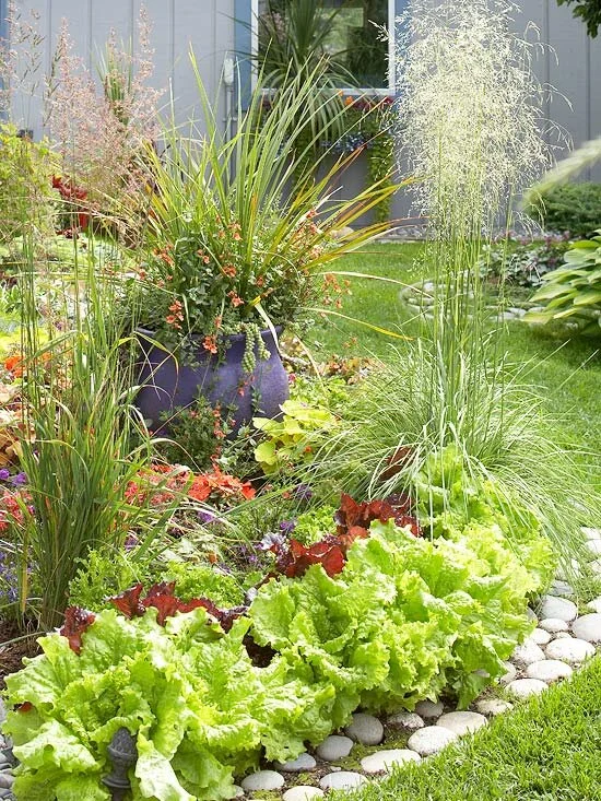 Nobody puts vegetable garden in the corner