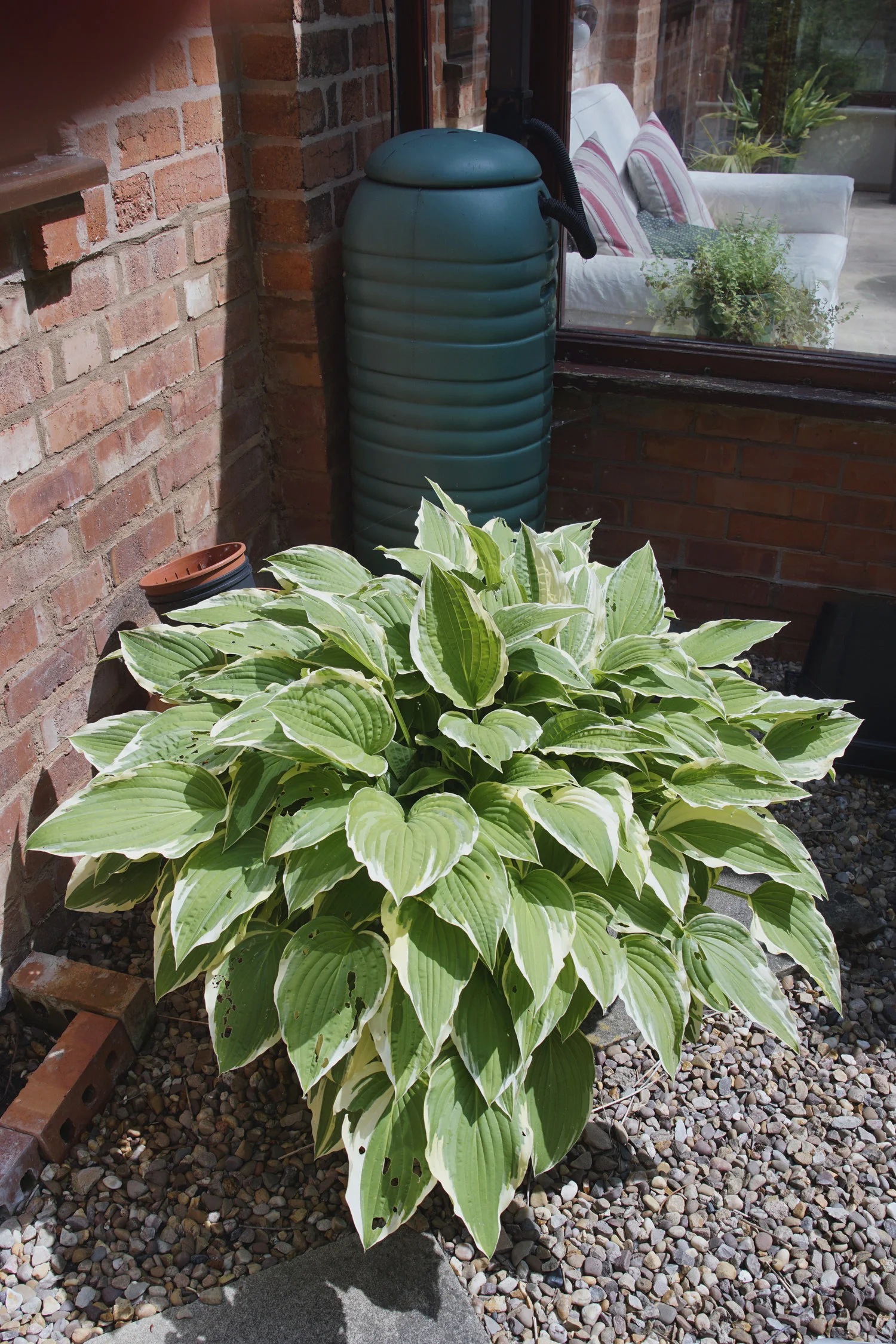 Rainwater Harvesting