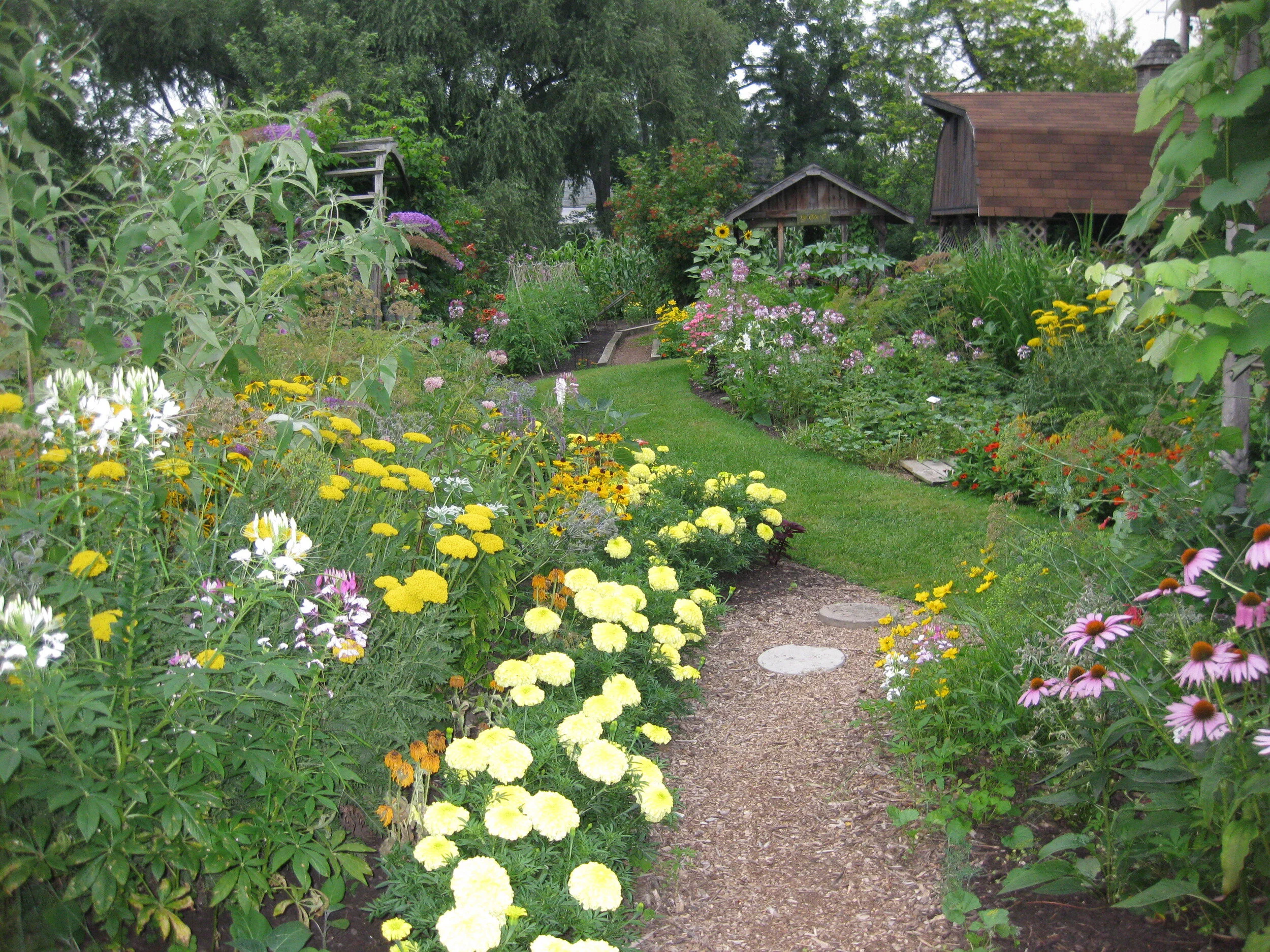Low-growing perennials for your Hudson Valley/Westchester landscape