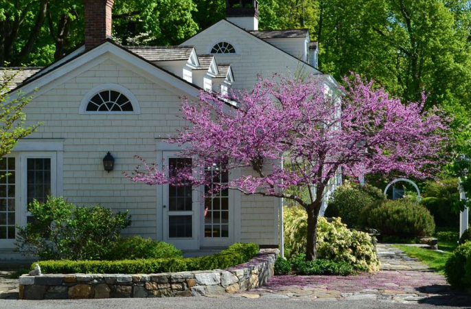 Entrancing Entrances