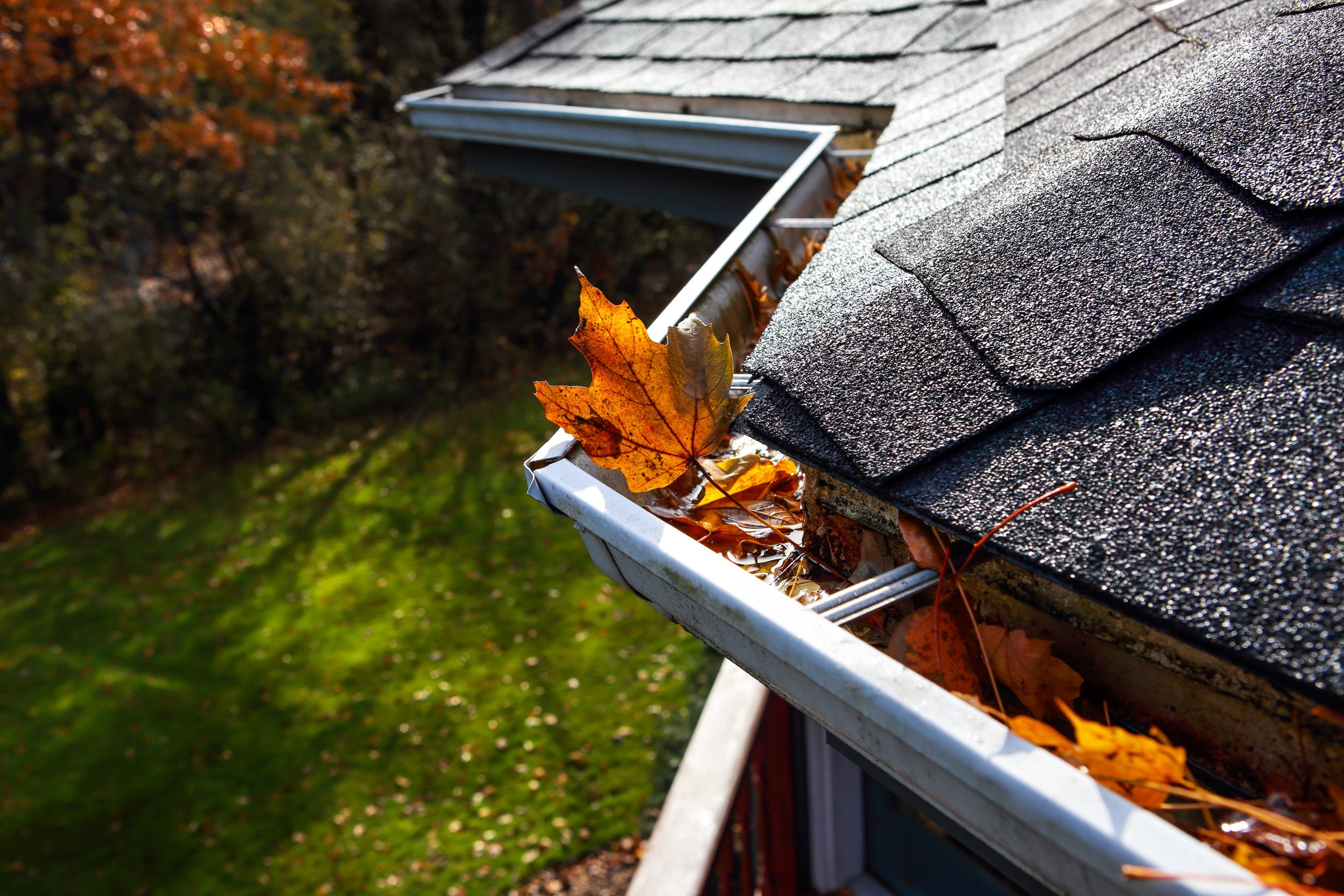 Keep Your Mind Off of the Gutter with Leaf Relief® Gutter Guards