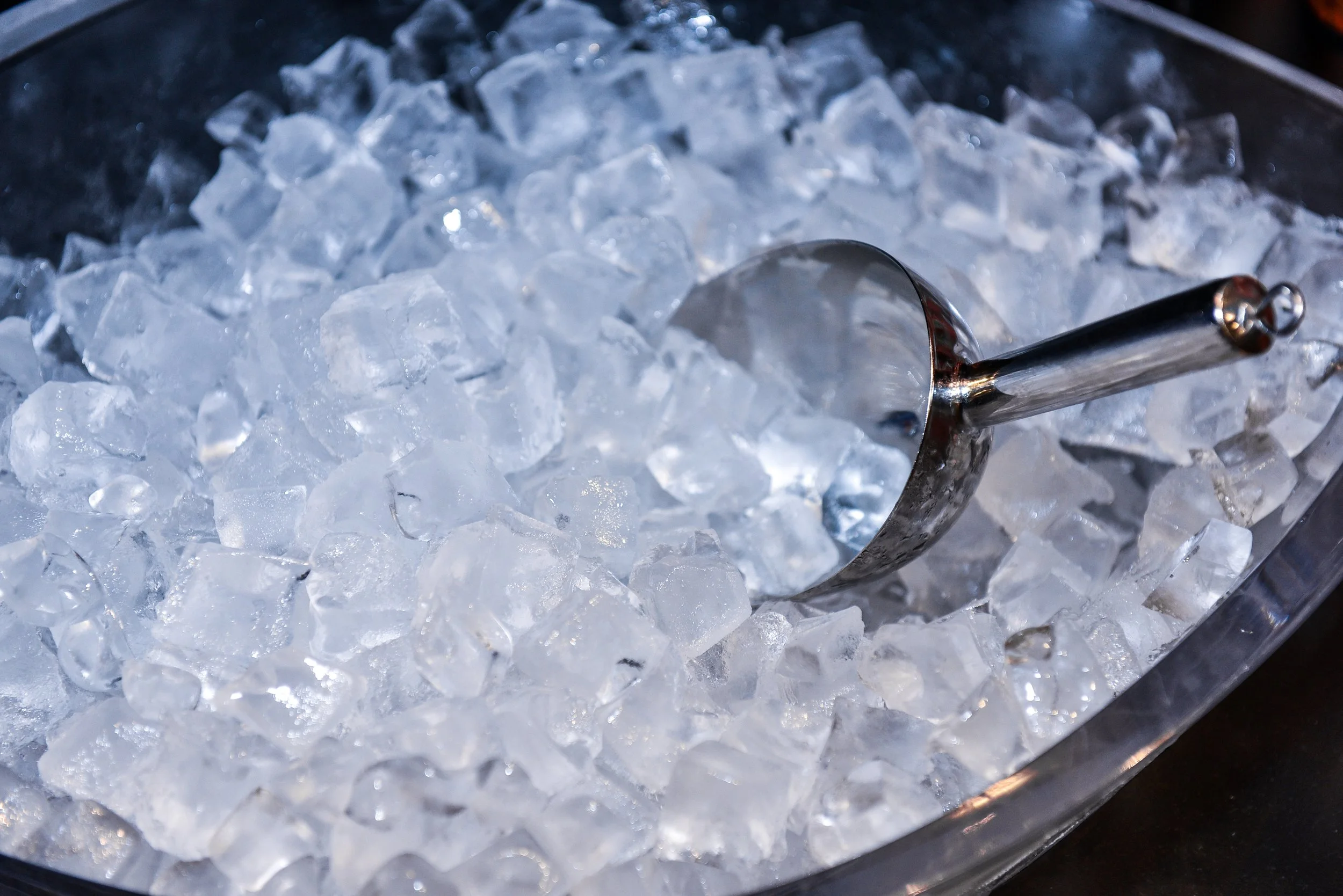 Best Coolers for Patios and Entertaining