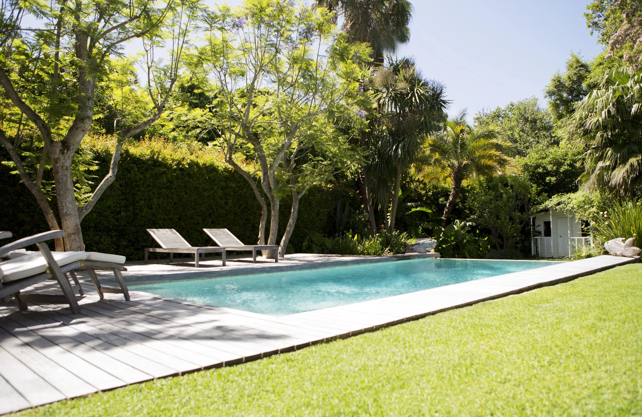 Pool Privacy Ideas _ 8 Landscaping Ideas For Privacy Around Your Pool ...
