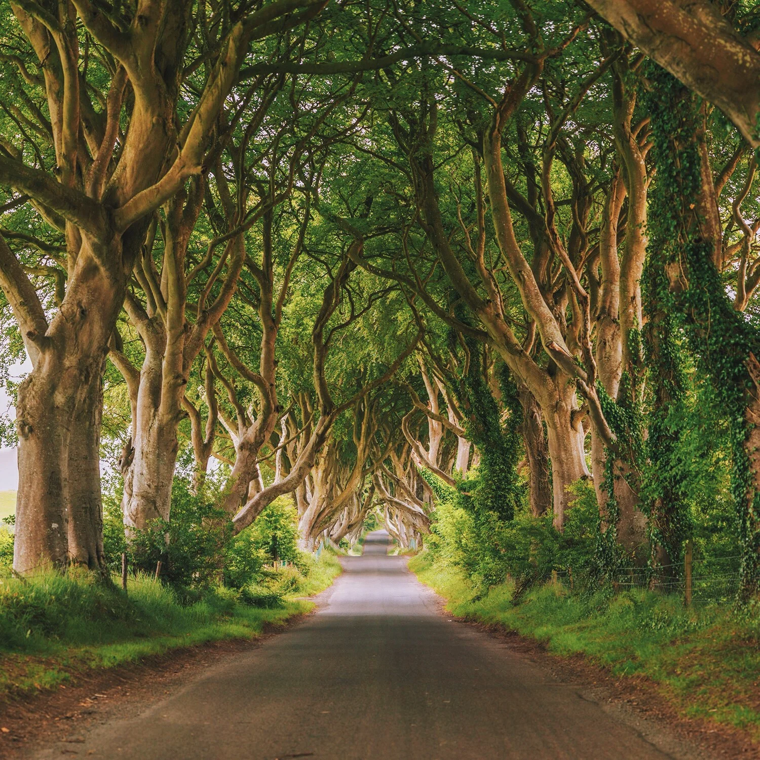 2014-06-23 11.13.16.jpg