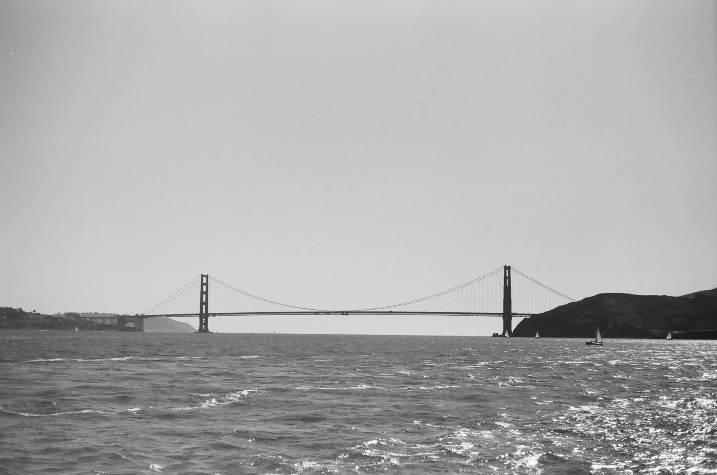 67050033.jpg