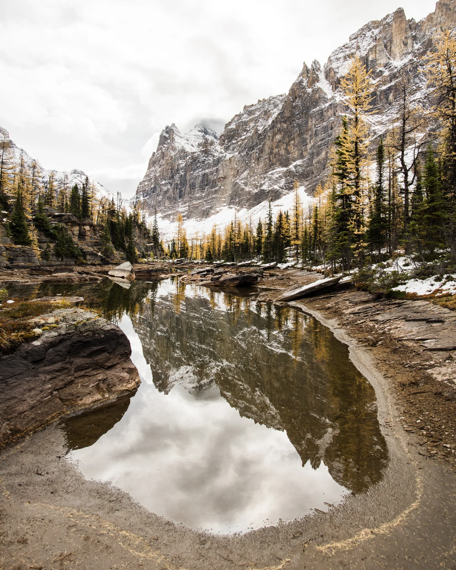_TW81945-Edit.jpg