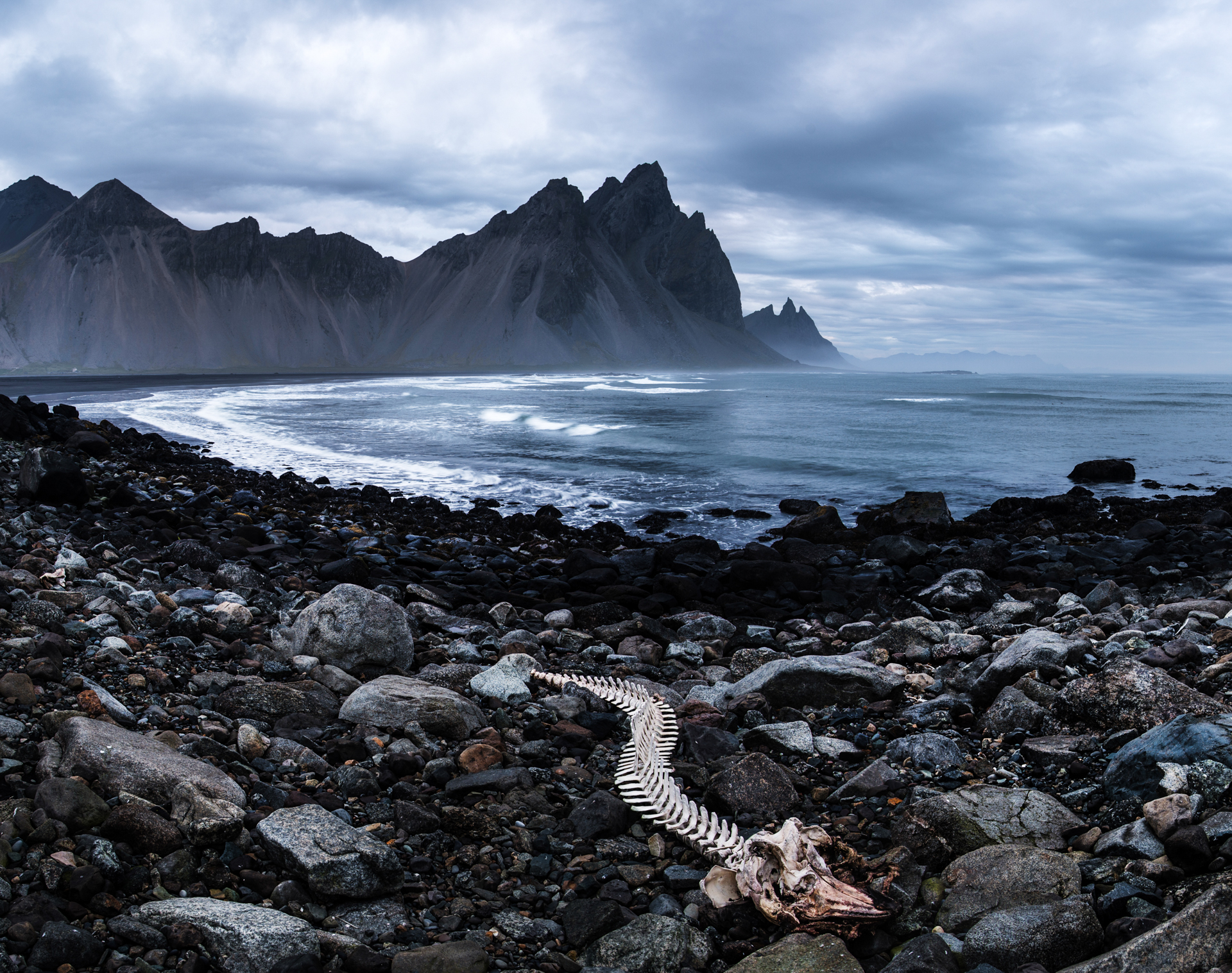 WHALE STOKKSNES-5.jpg