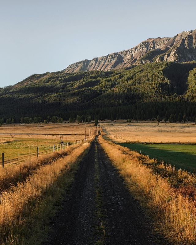 Road to Mt Joseph. Wallowa County. Oregon.