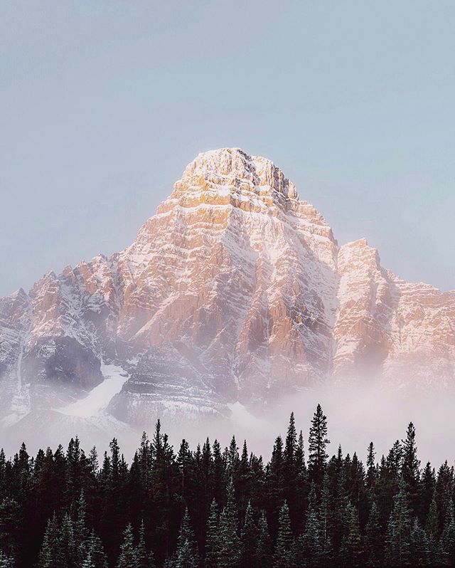 Sunrise. Mt Chephren. Banff. Alberta. Canada.