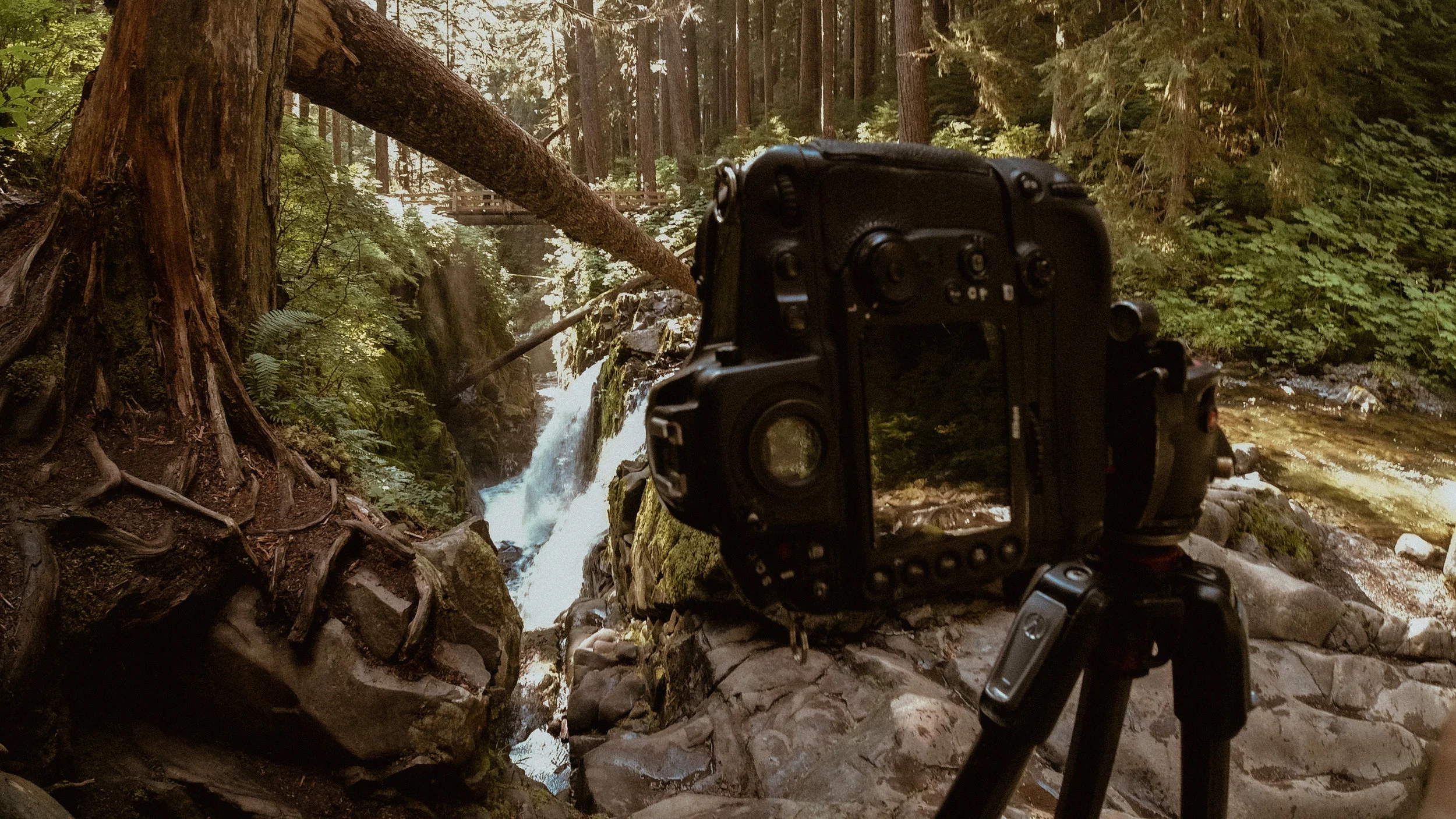 Behind the Scenes shot of Vertical photo.