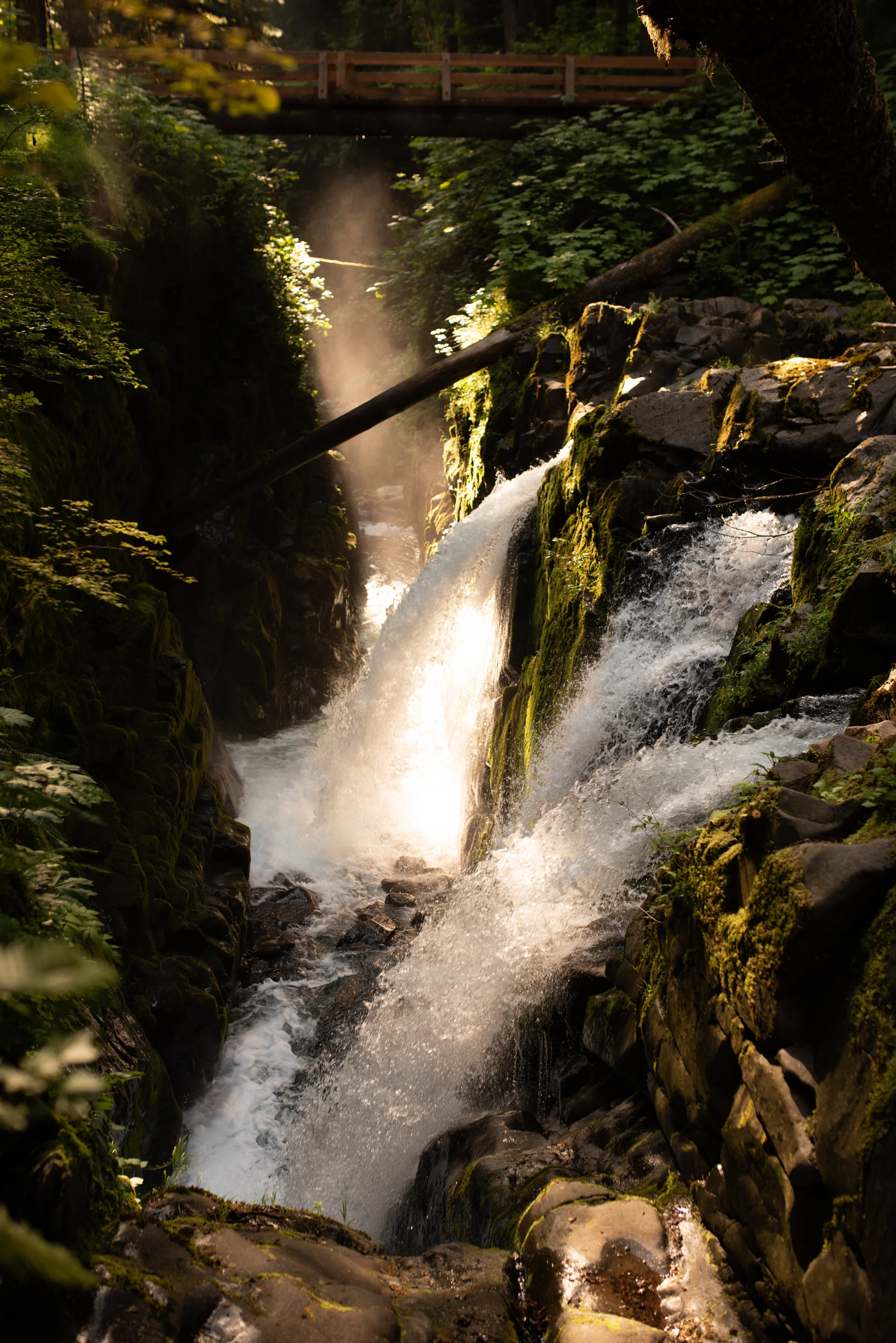 (Without ND filter. 1/250, f1.8, ISO 64)