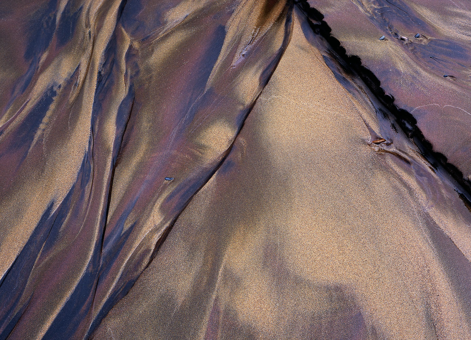   Sand Detail, Devils Punchbowl State Natural Area, Oregon, April 2007  