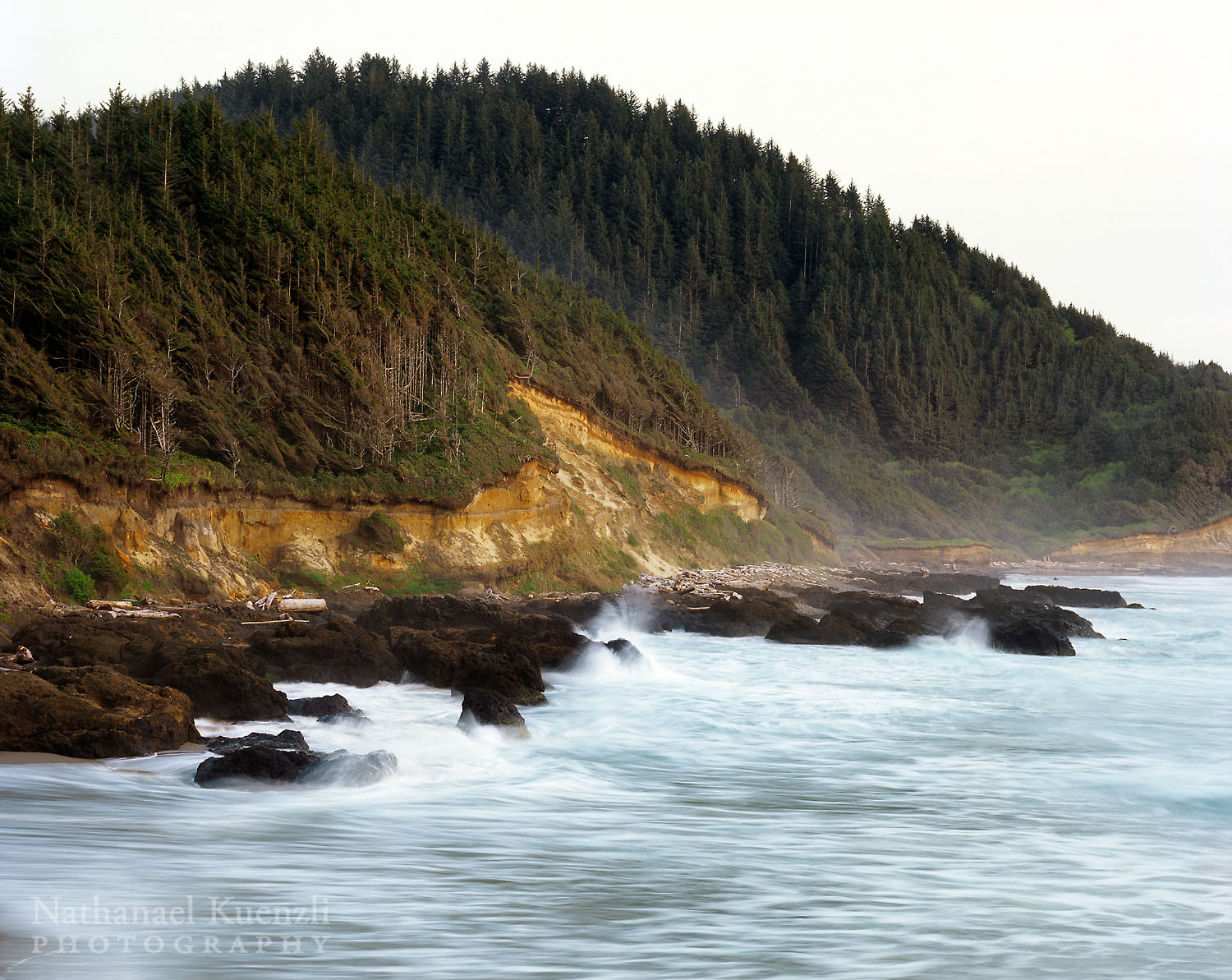   Oregon Coast, April 2007  