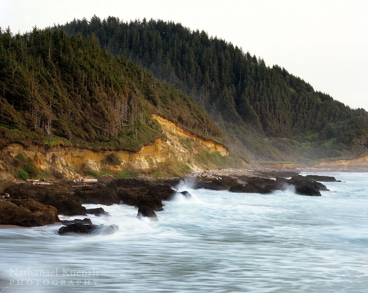 Oregon Coast, April 2007