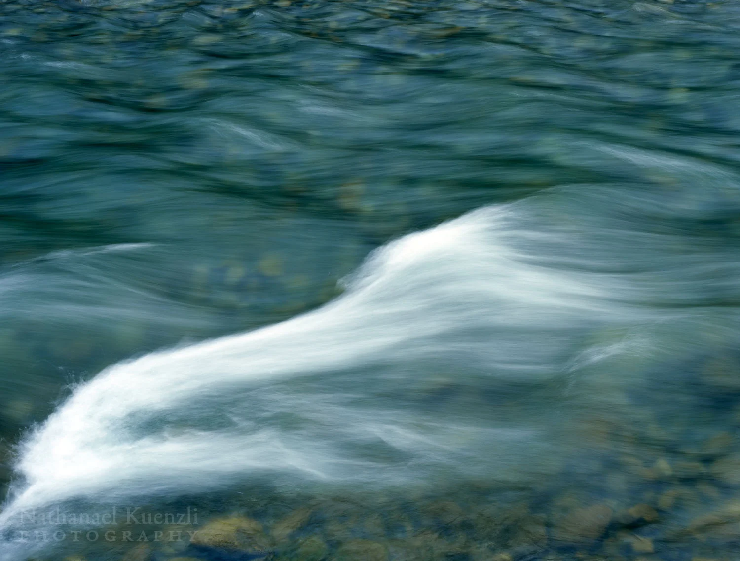 North Fork Quinault River, Olympic National Park, Washington, May 2007