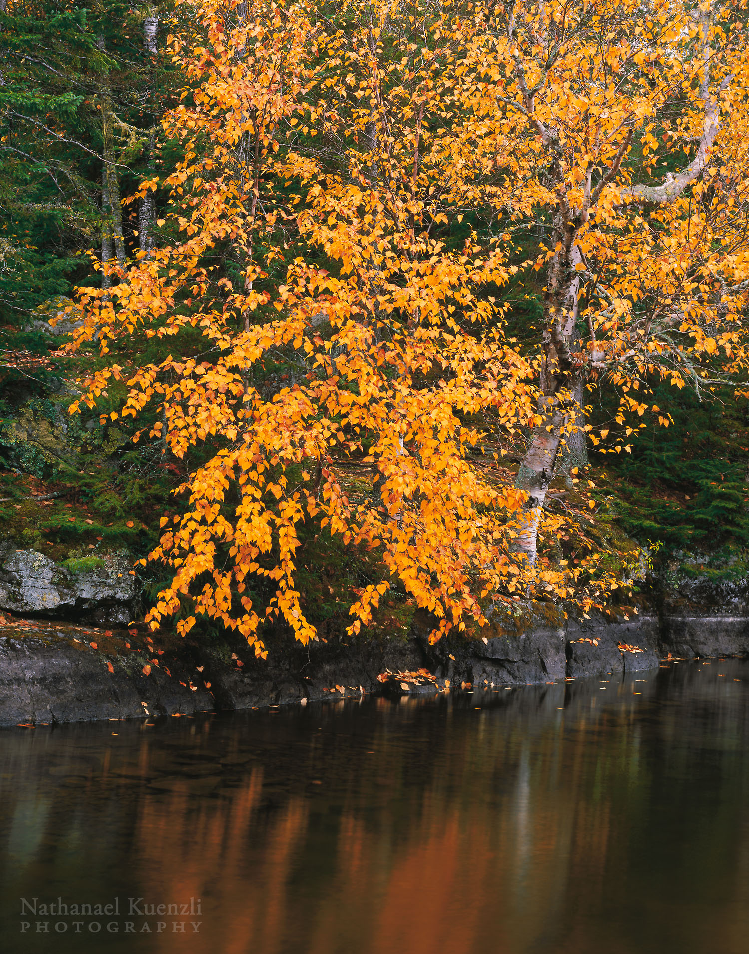   Cherokee Lake, Boundary Waters Canoe Area Wilderness, Minnesota, October 2005  