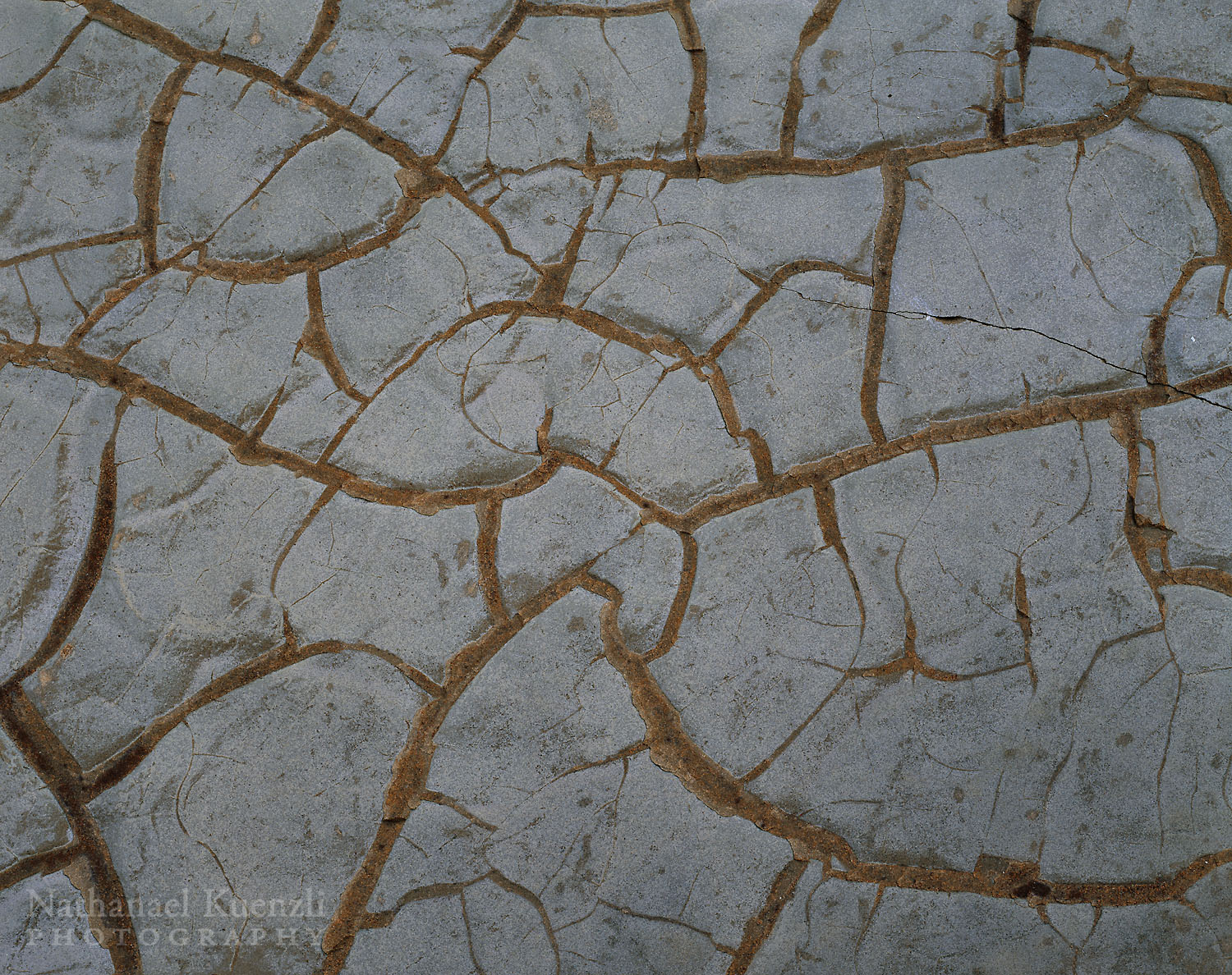  Rock Detail, Porcupine Mountains Wilderness State Park, Michigan, May 2003  
