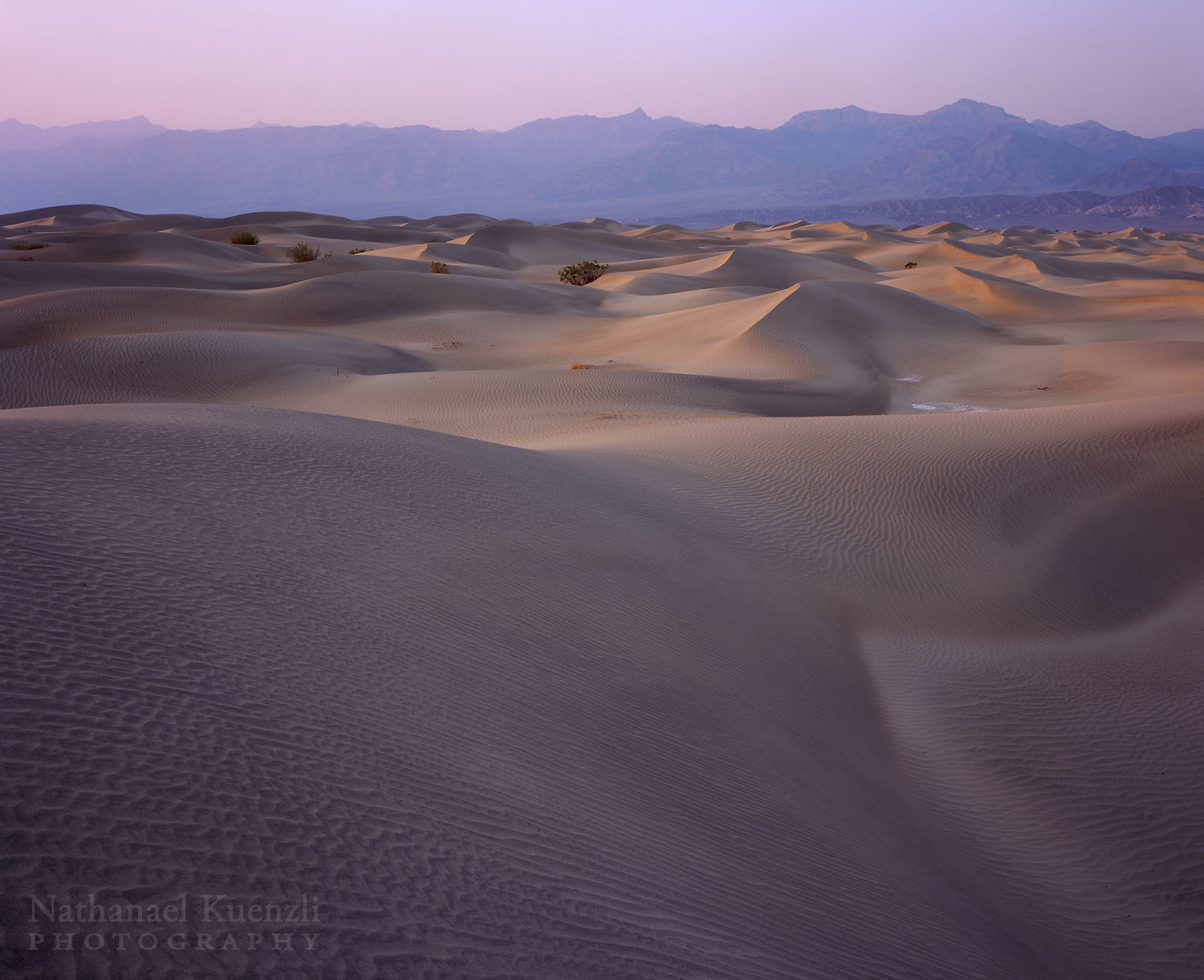   Sand Dunes, Death Valley National Park, California, April 2008  