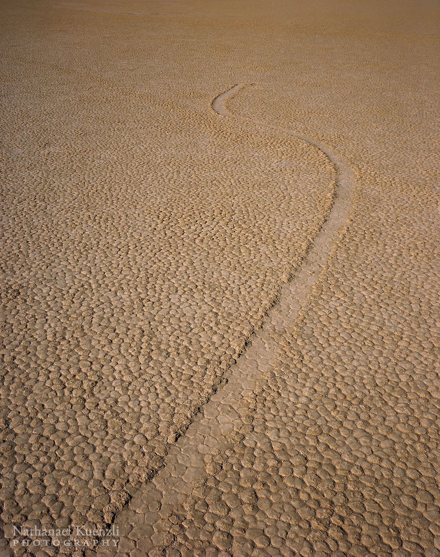 Racetrack Playa Detail, Death Valley National Park, California, April 2008