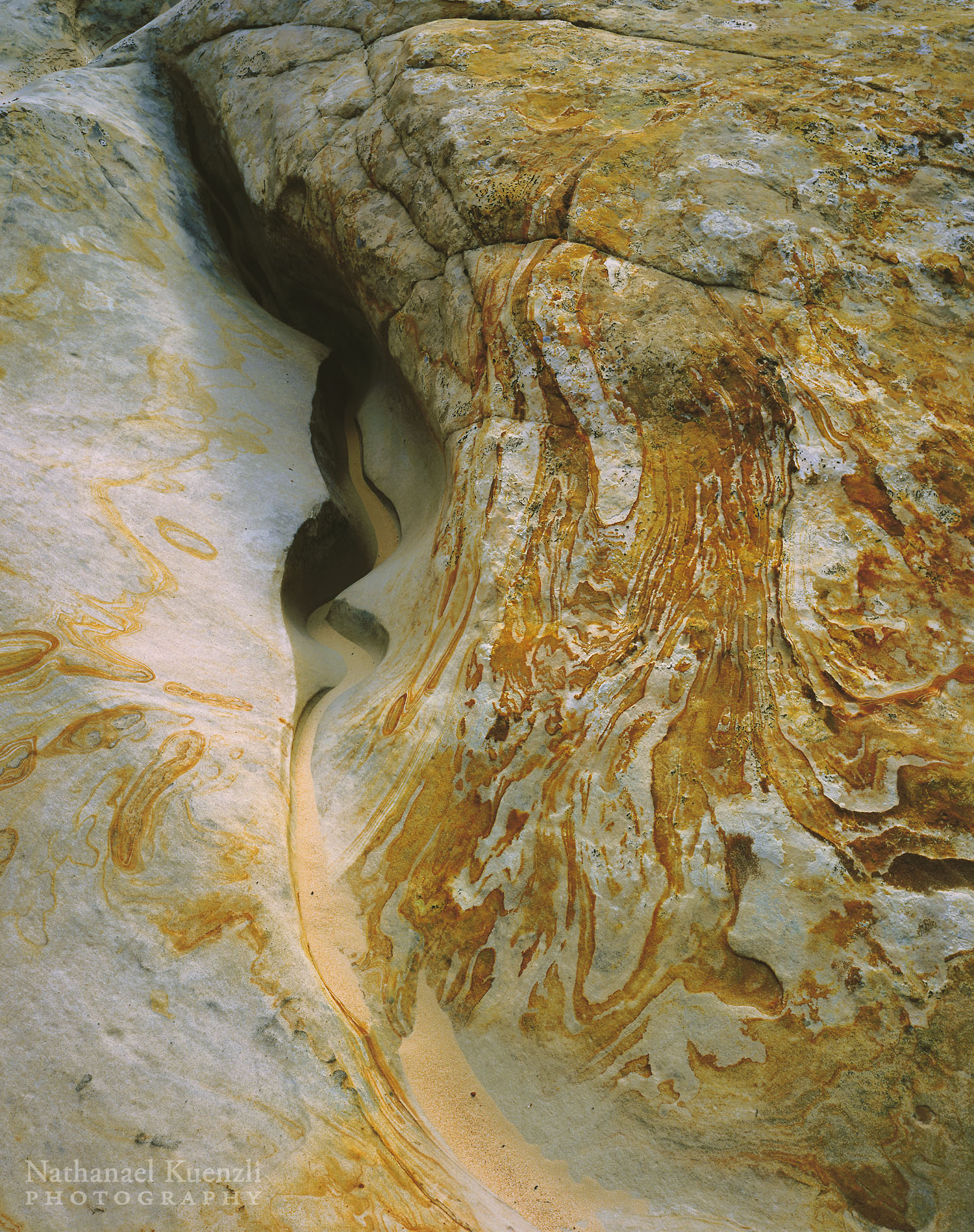    Creek Bottom Detail, Surprise Canyon, Capitol Reef National Park, Utah, May 2005   