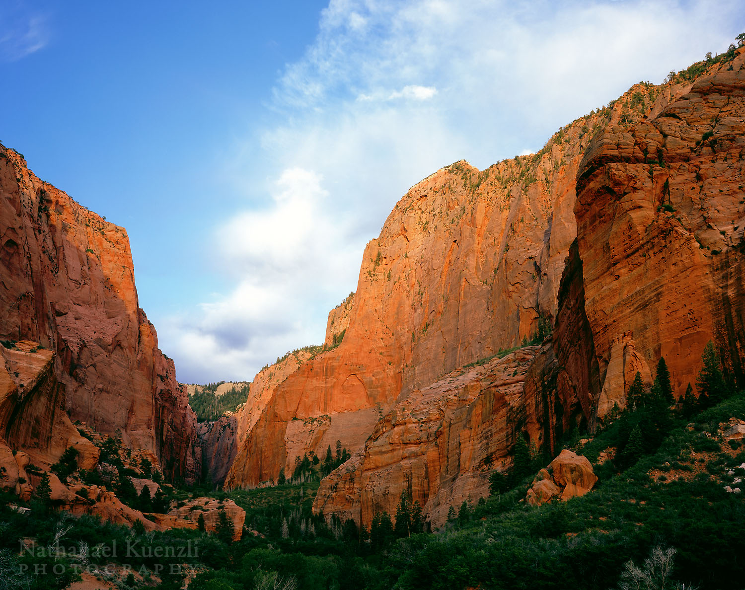    South Fork, Kolob Canyons, Zion National Park, Utah, May 2007   