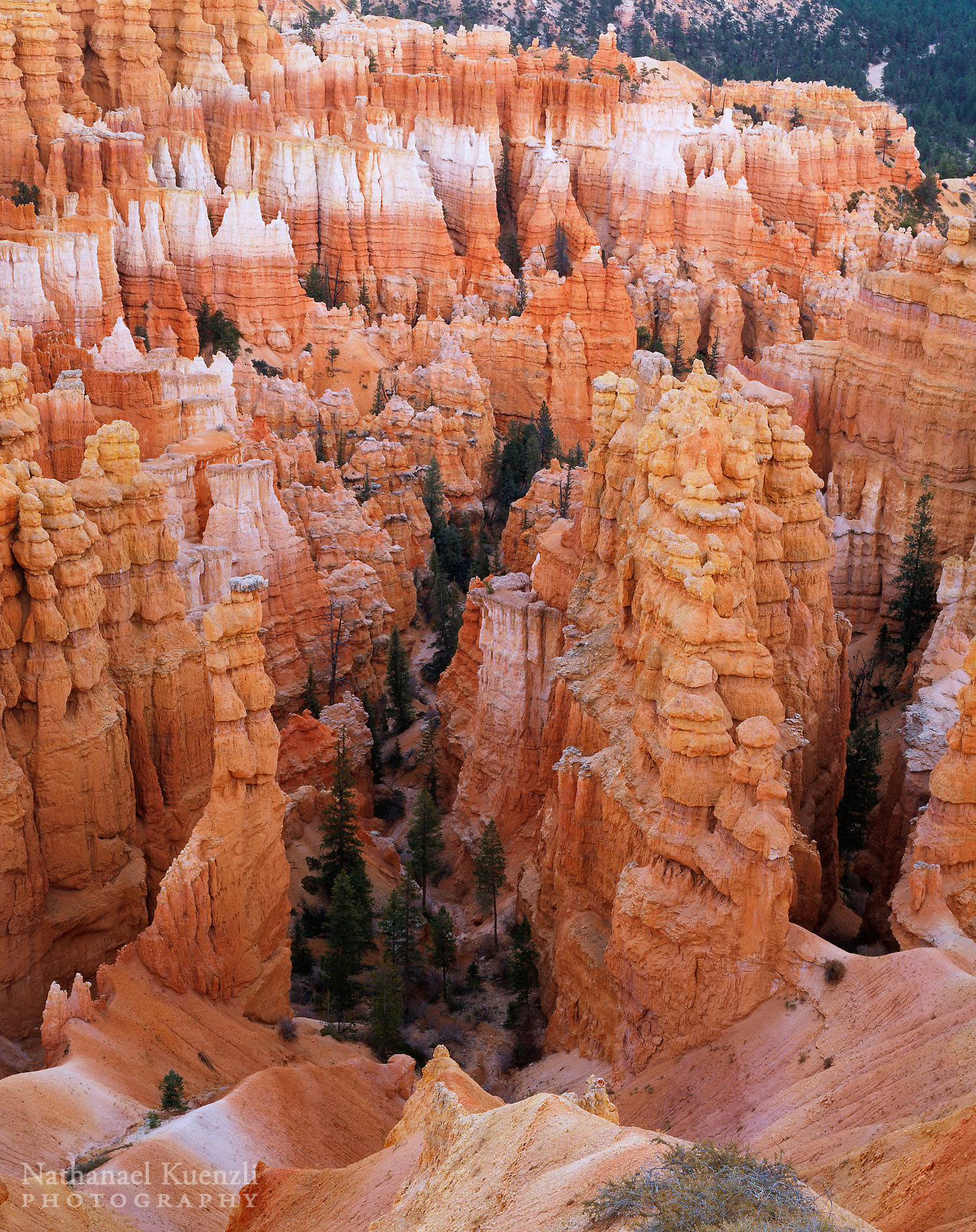    Bryce Canyon National Park, Utah, October 2003   