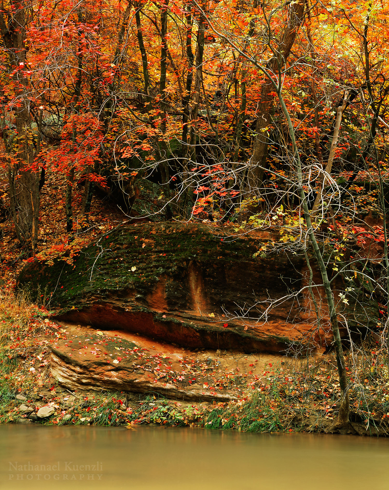   Virgin River, Zion National Park, Utah, November 2003  