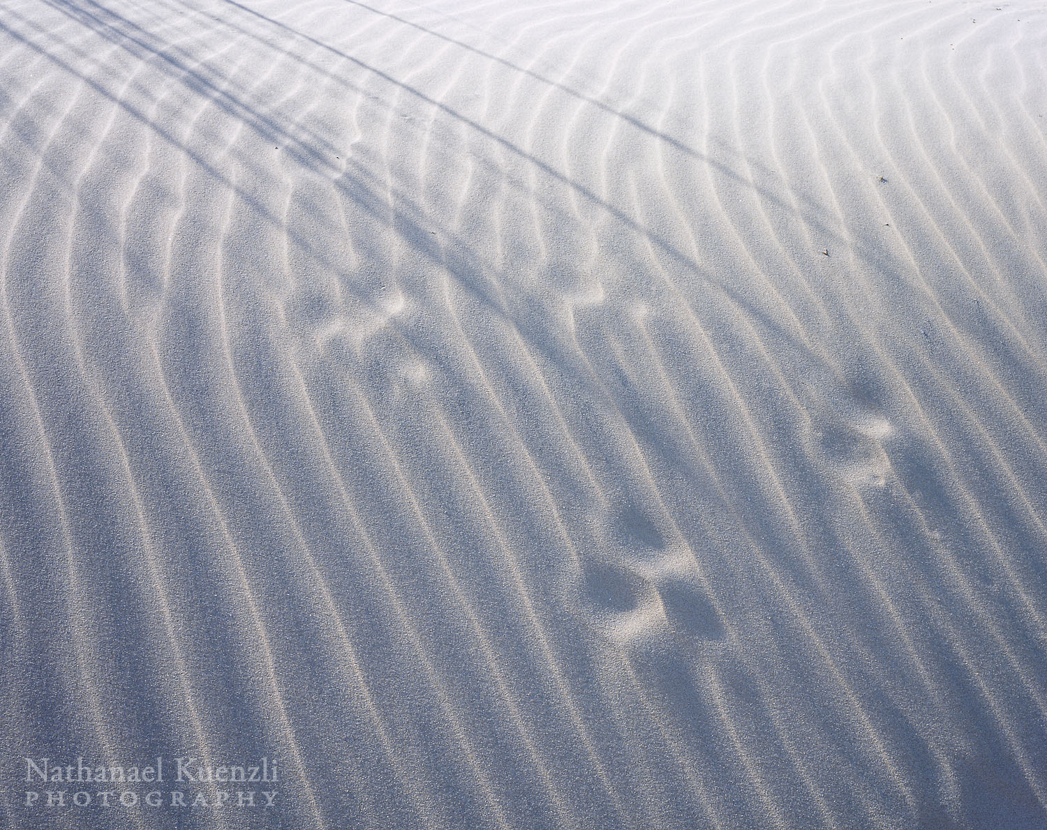 Sand Detail, Padre Island National Seashore, Texas, March 2007