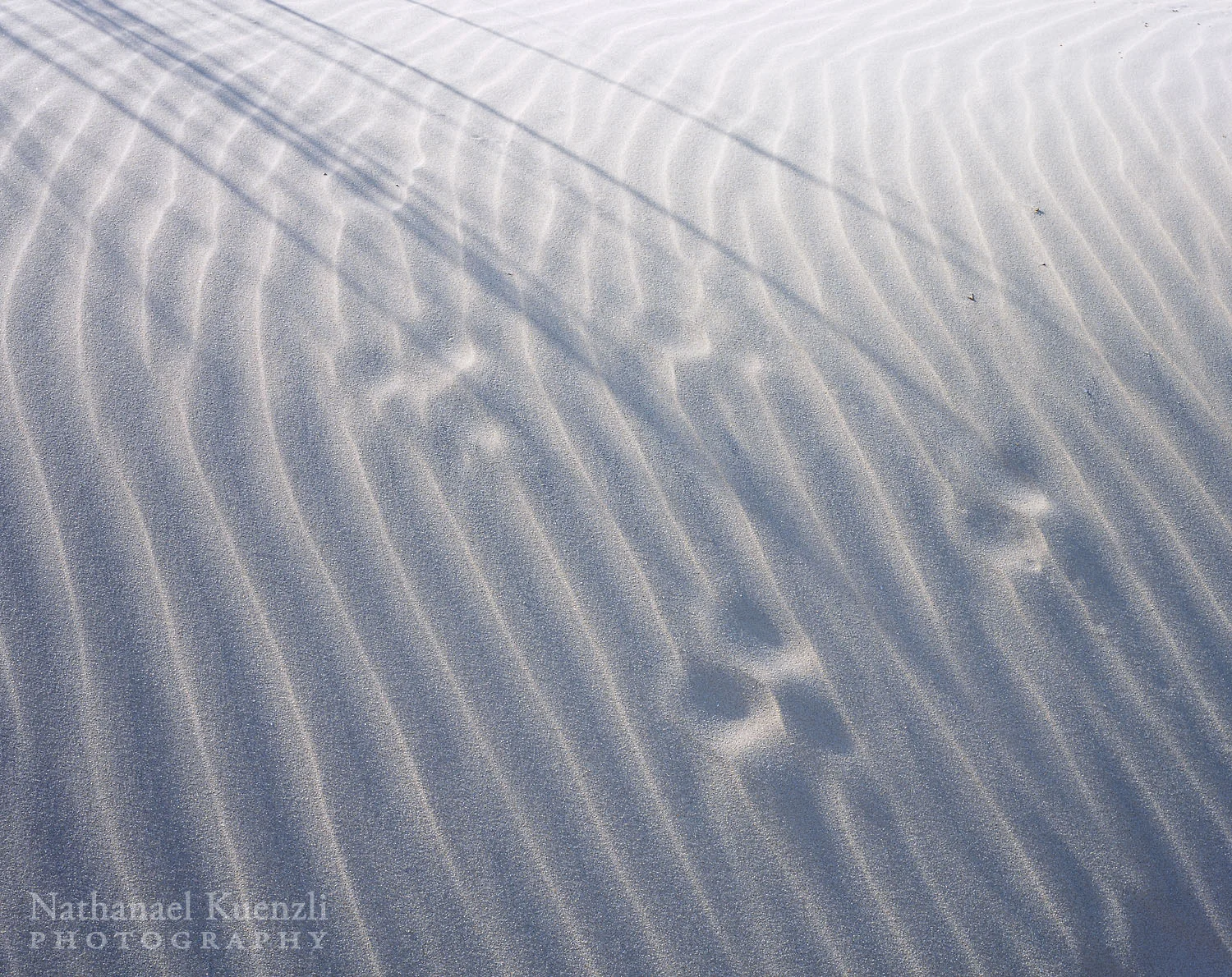 Sand Detail, Padre Island National Seashore, Texas, March 2007
