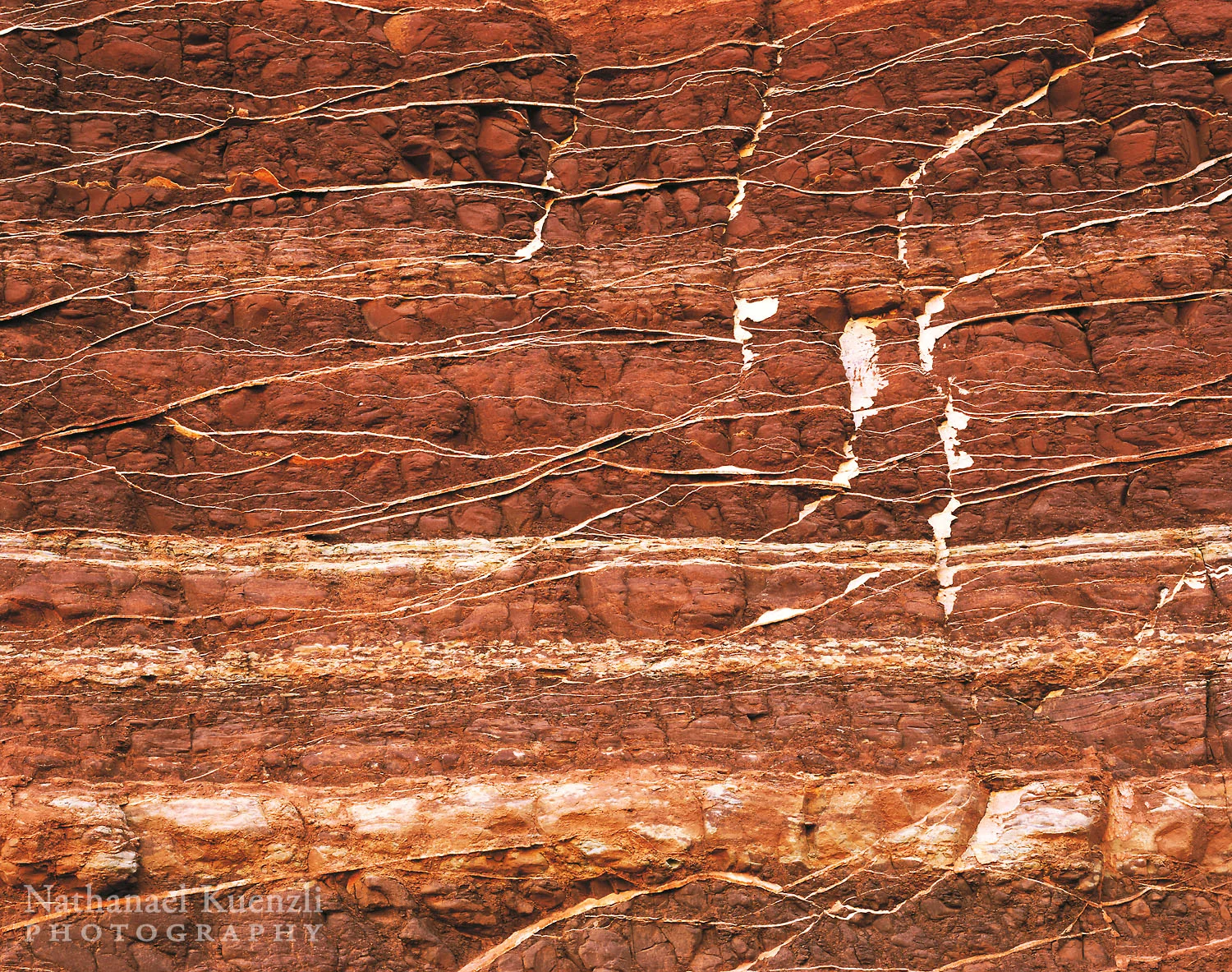 Moenkopi Rock Layer, Capitol Reef National Park, Utah, April 2005