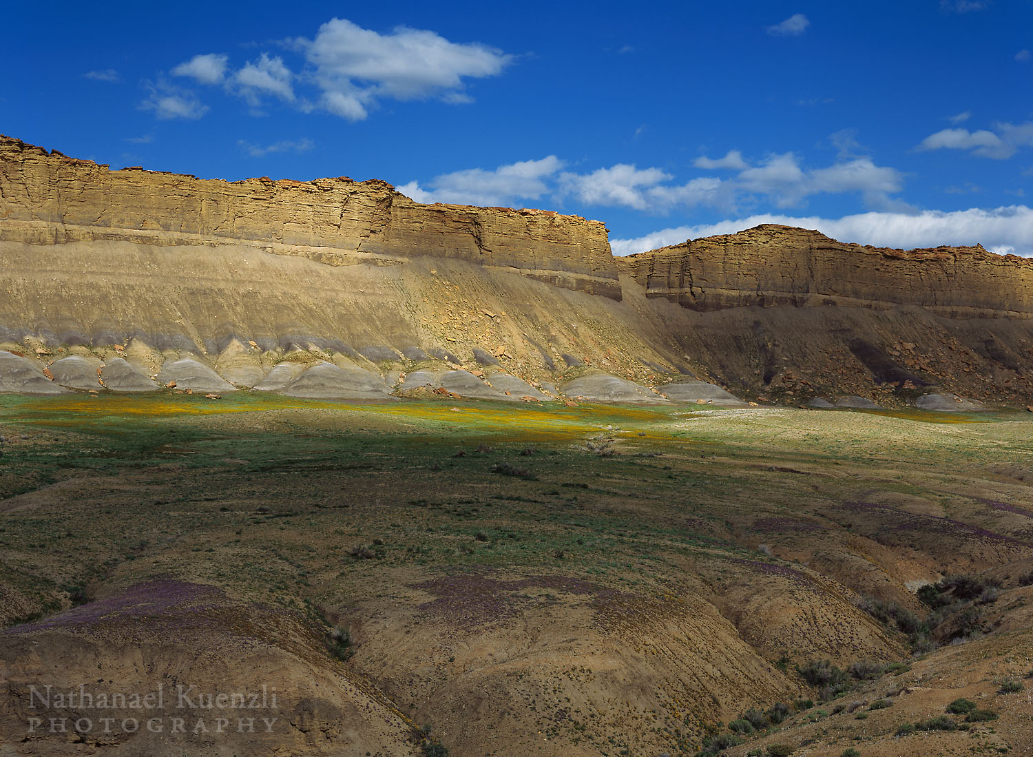    Mancos Shale Badlands, Mount Pennell Wilderness Study Area, Utah, May 2005   