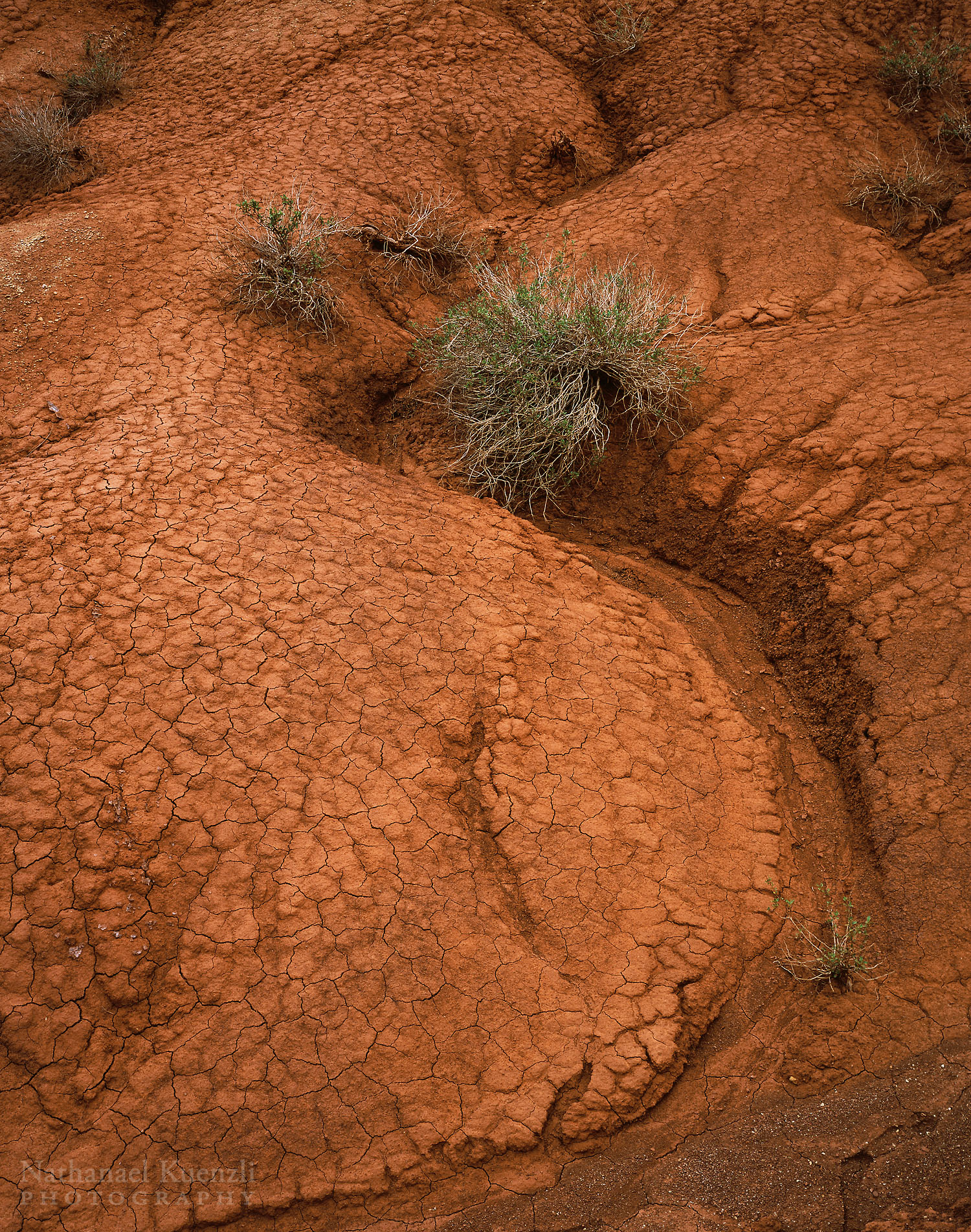    Cracked Dirt, Capitol Reef National Park, Utah, May 2005   