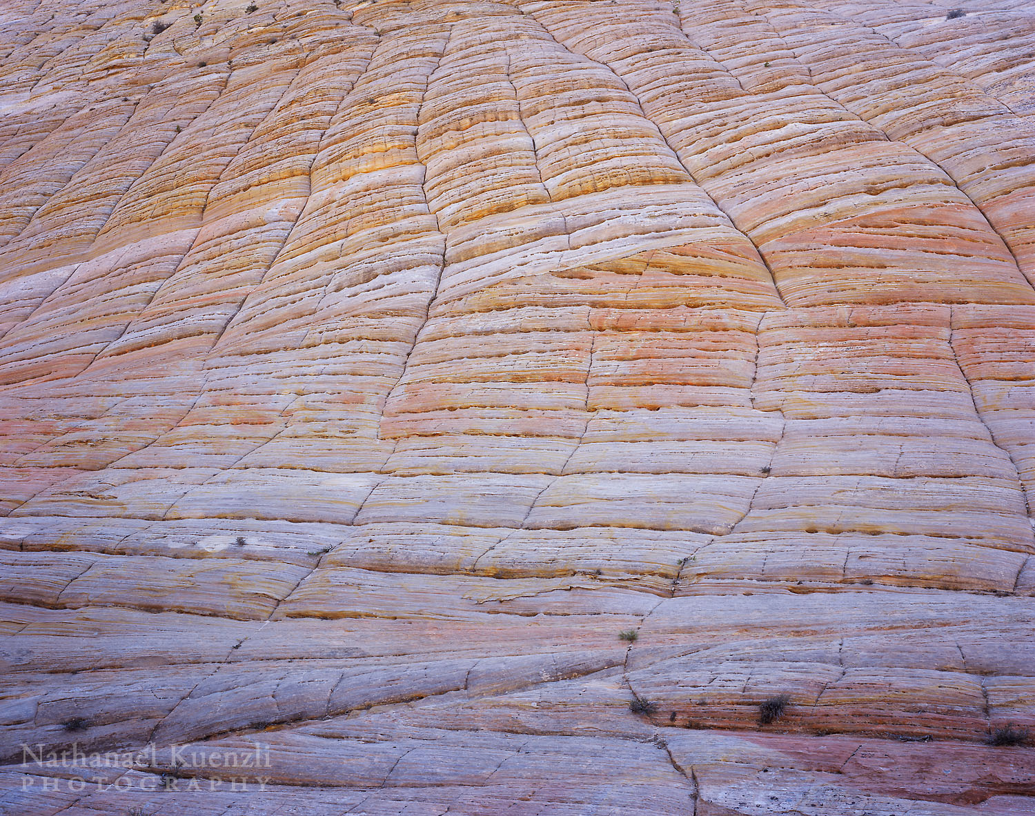    Checkerboard Mesa, Zion National Park, Utah, April 2008   