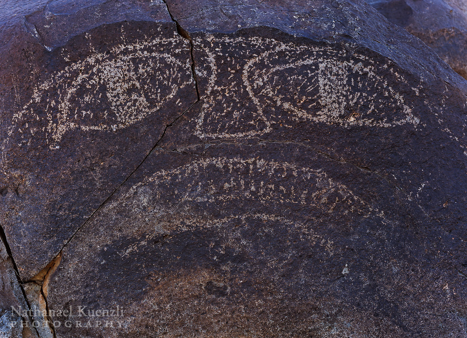   Petroglyph, Three Rivers, New Mexico, March 2008  