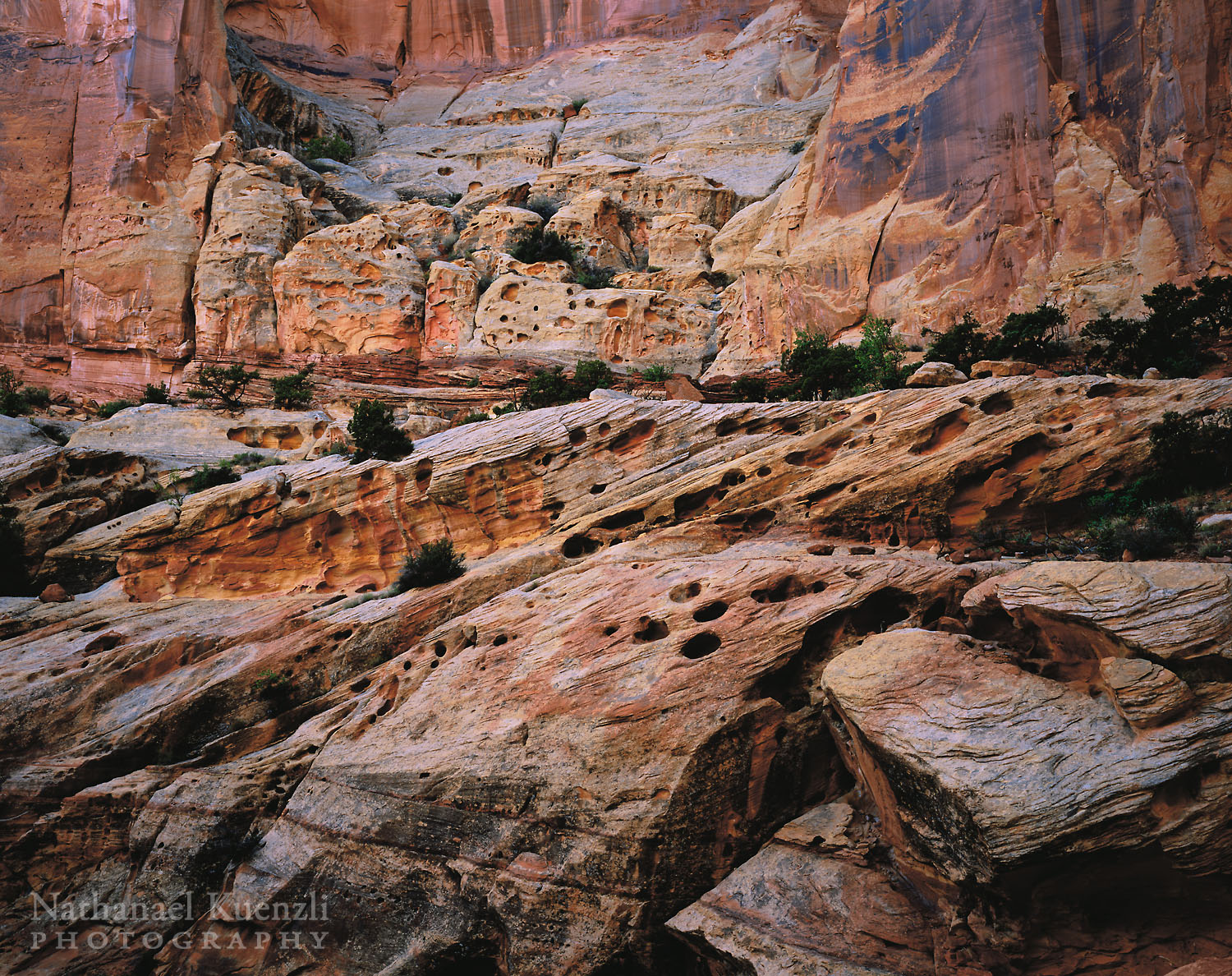   Capitol Reef National Park, Utah, May 2005  