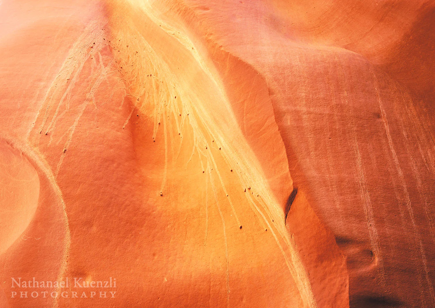 Irish Slots Detail, Glen Canyon NRA, Utah, March 2011