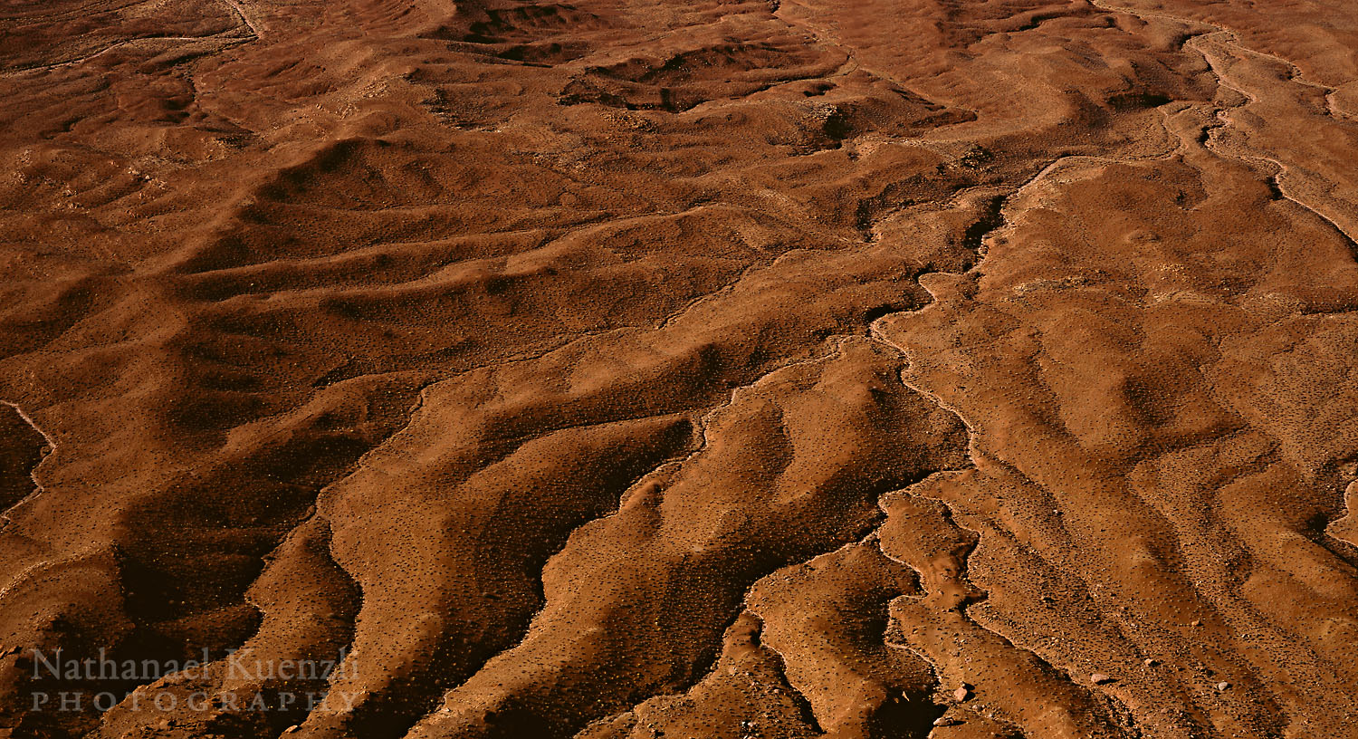   Soda Springs Basin, Canyonlands NP, Utah, November 2010  