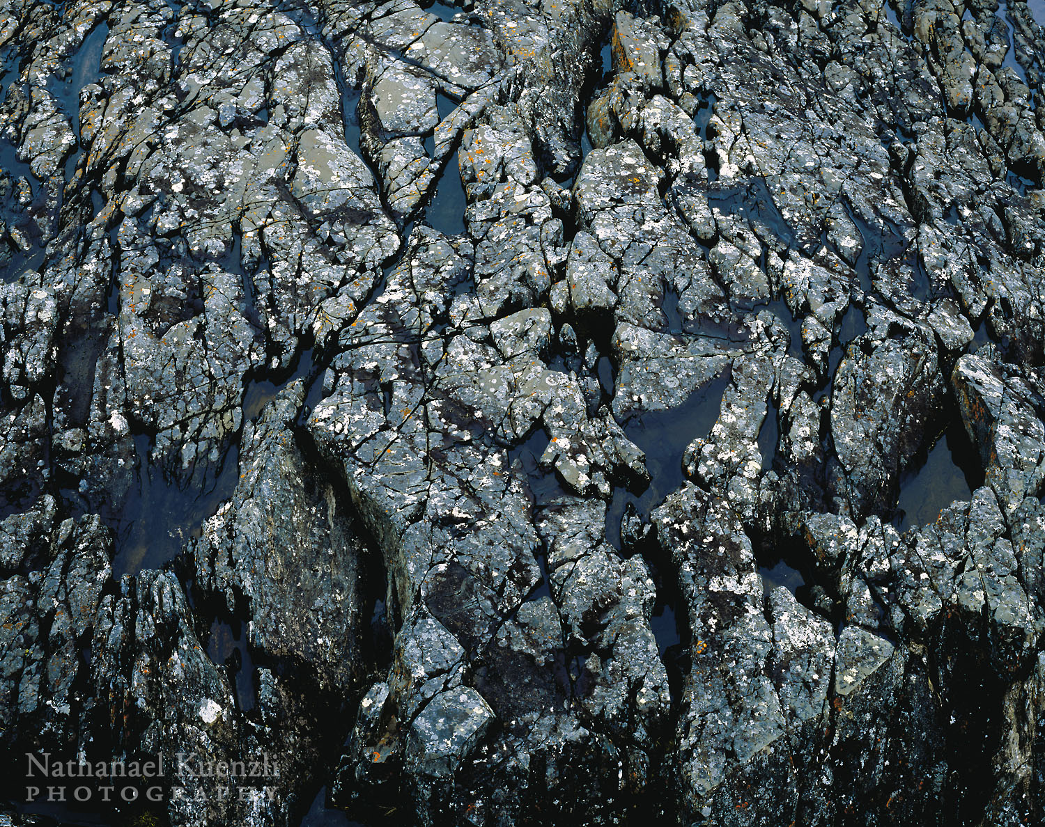    Rock Detail, Pukaskwa National Park, Ontario, Canada, June 2005   