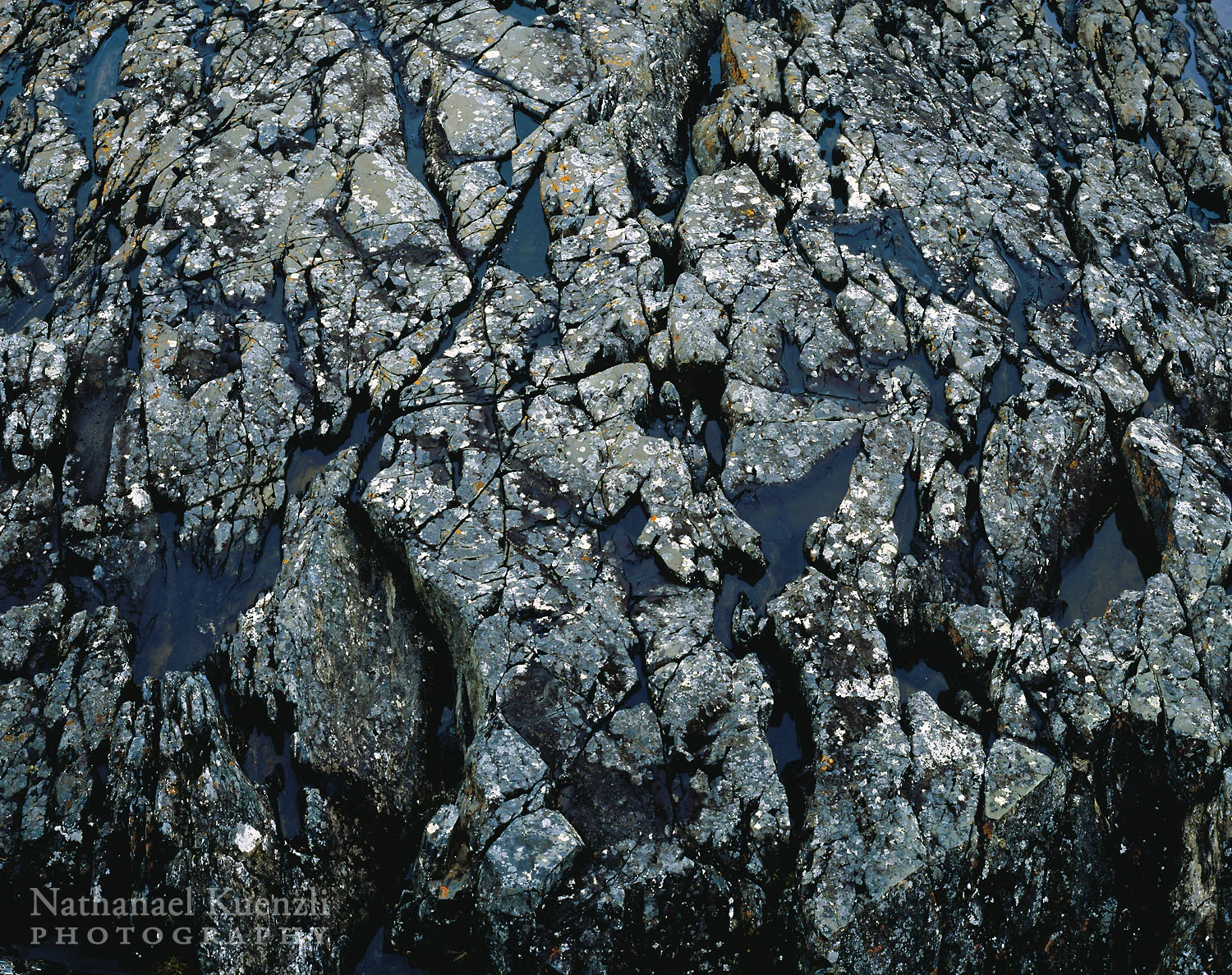 Rock Detail, Pukaskwa National Park, Ontario, Canada, June 2005