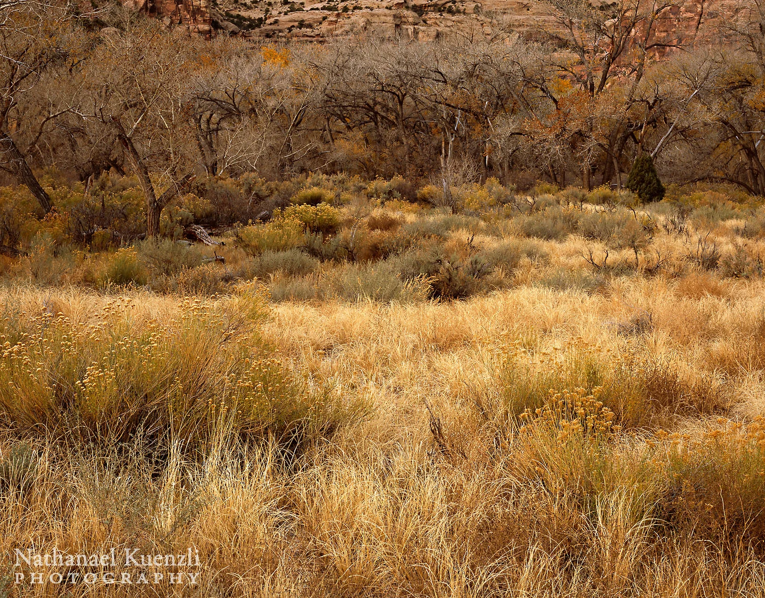 Indian Creek Corridor BLM, Utah, November 2010