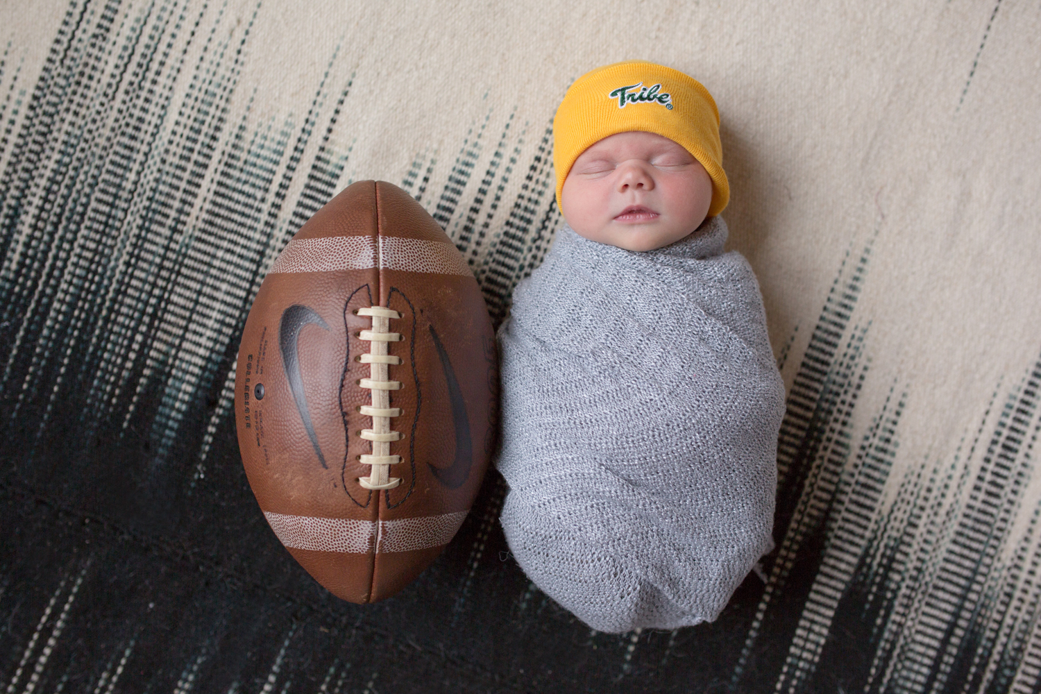wren_blog-8.jpg