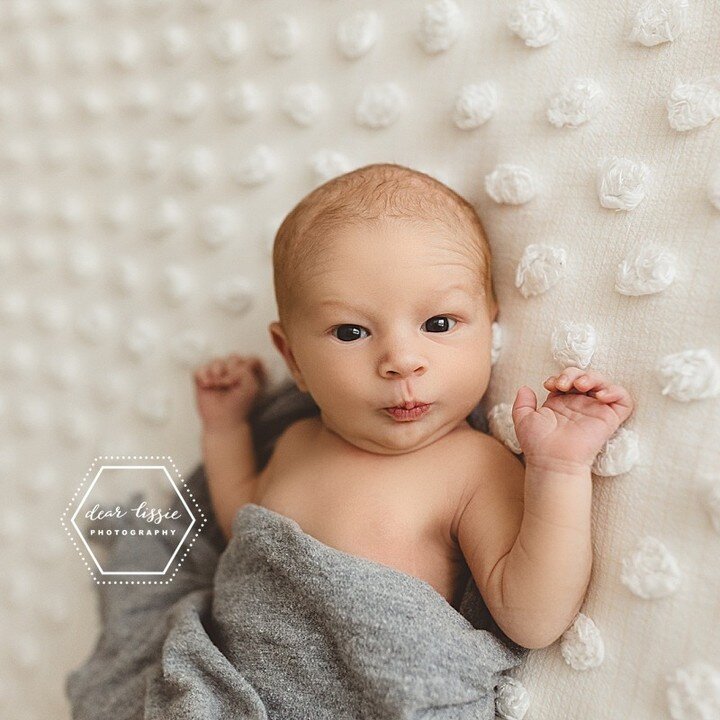 Look how perfect this guy is! Meet Carter.

#babyphotography #dearlissie #givemeyourbabies #greenvillenewbornphotographer #idoitforthesnuggles #kiddingaroundgreenville #newborn #newbornbaby #newbornboy #newbornphotographer #newbornphotography #newbor
