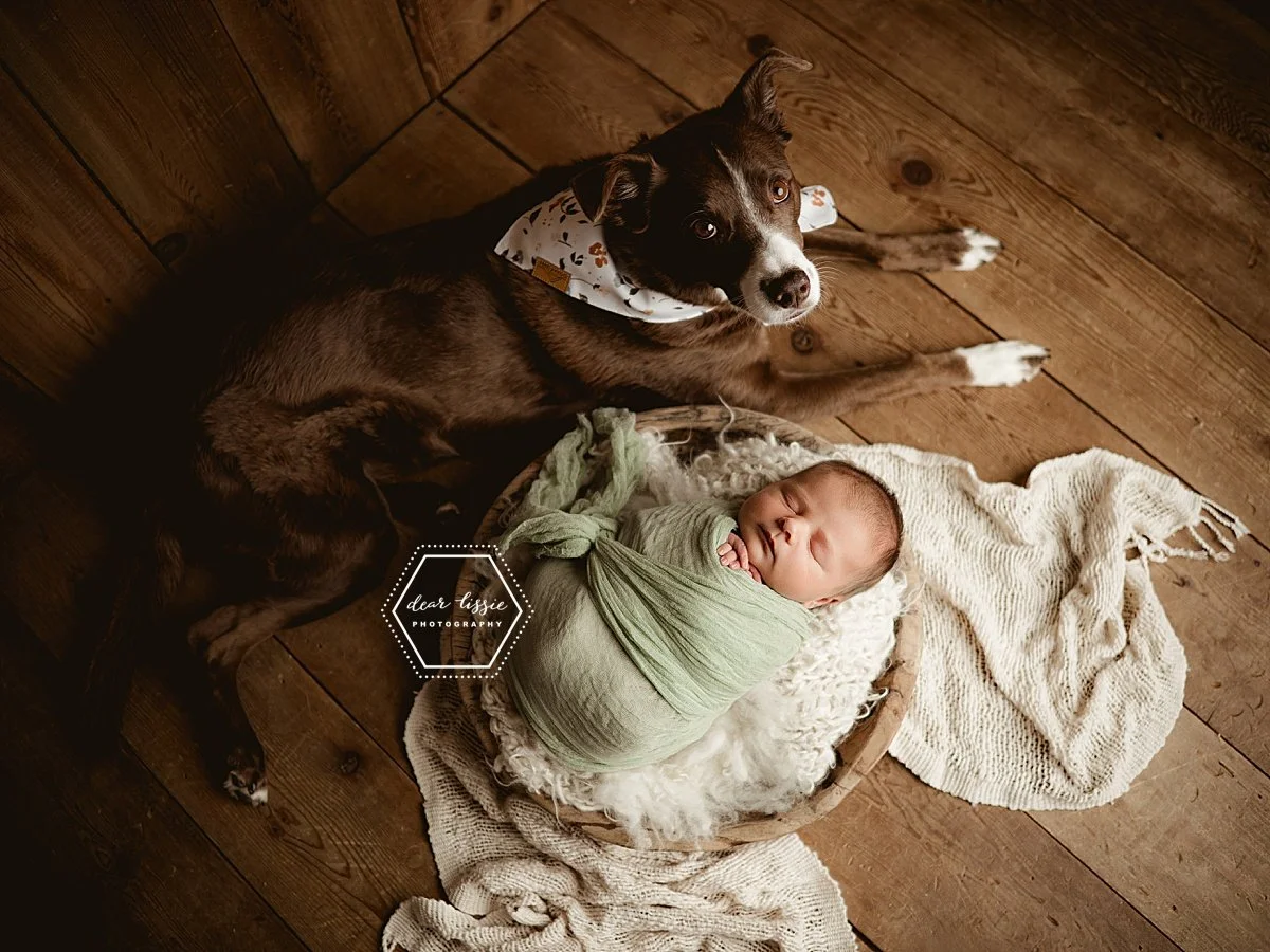 When it's a house full of girls, even the pup, you know everyone must be excited to welcome a baby boy!! Meet Walker!

#babyphotography #dearlissie #givemeyourbabies #greenvillenewbornphotographer #idoitforthesnuggles #kiddingaroundgreenville #newbor