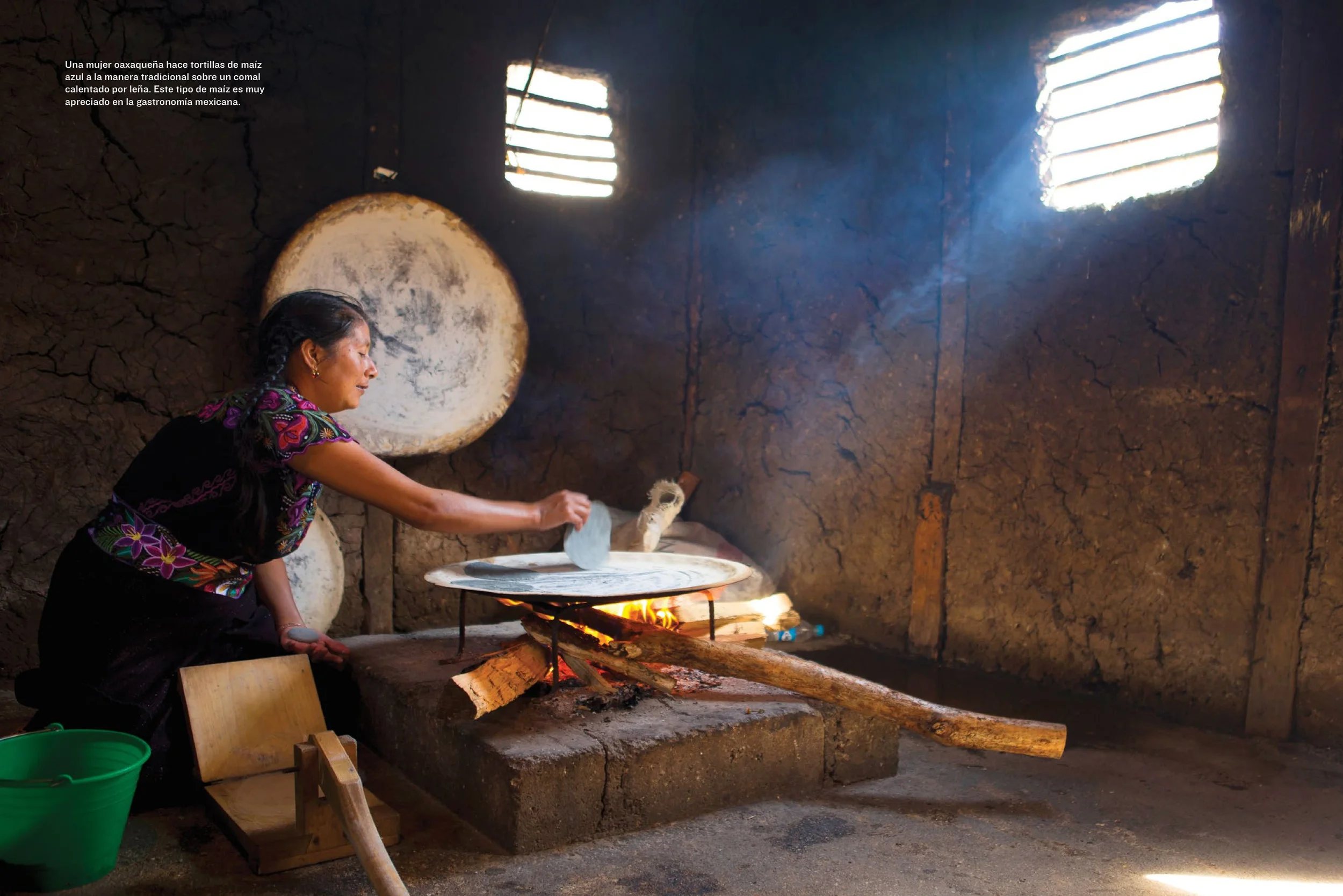 This image of a Chiapan woman appears on the 