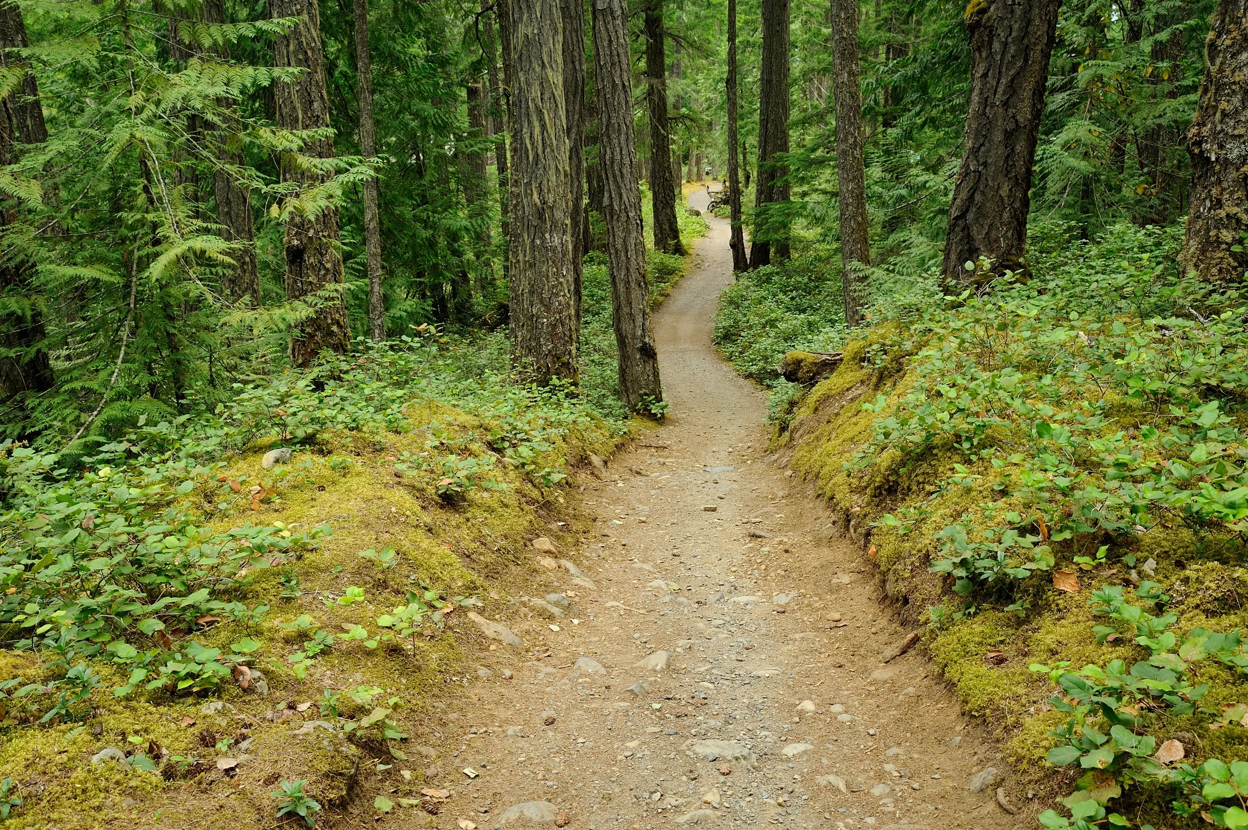 The Path to High Performance